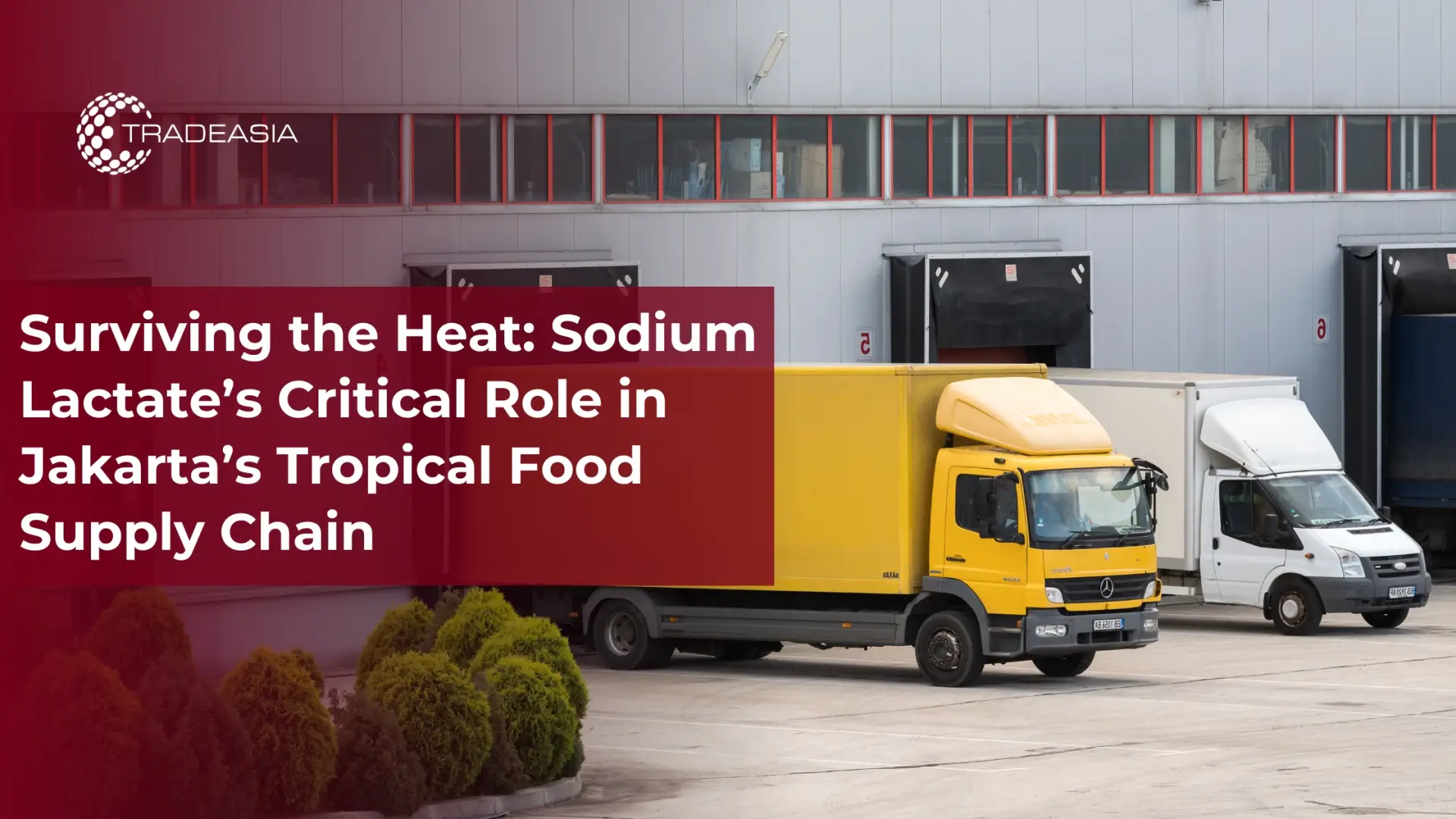 Sobrevivir al calor: el papel fundamental del lactato de sodio en la cadena de suministro de alimentos tropicales de Yakarta