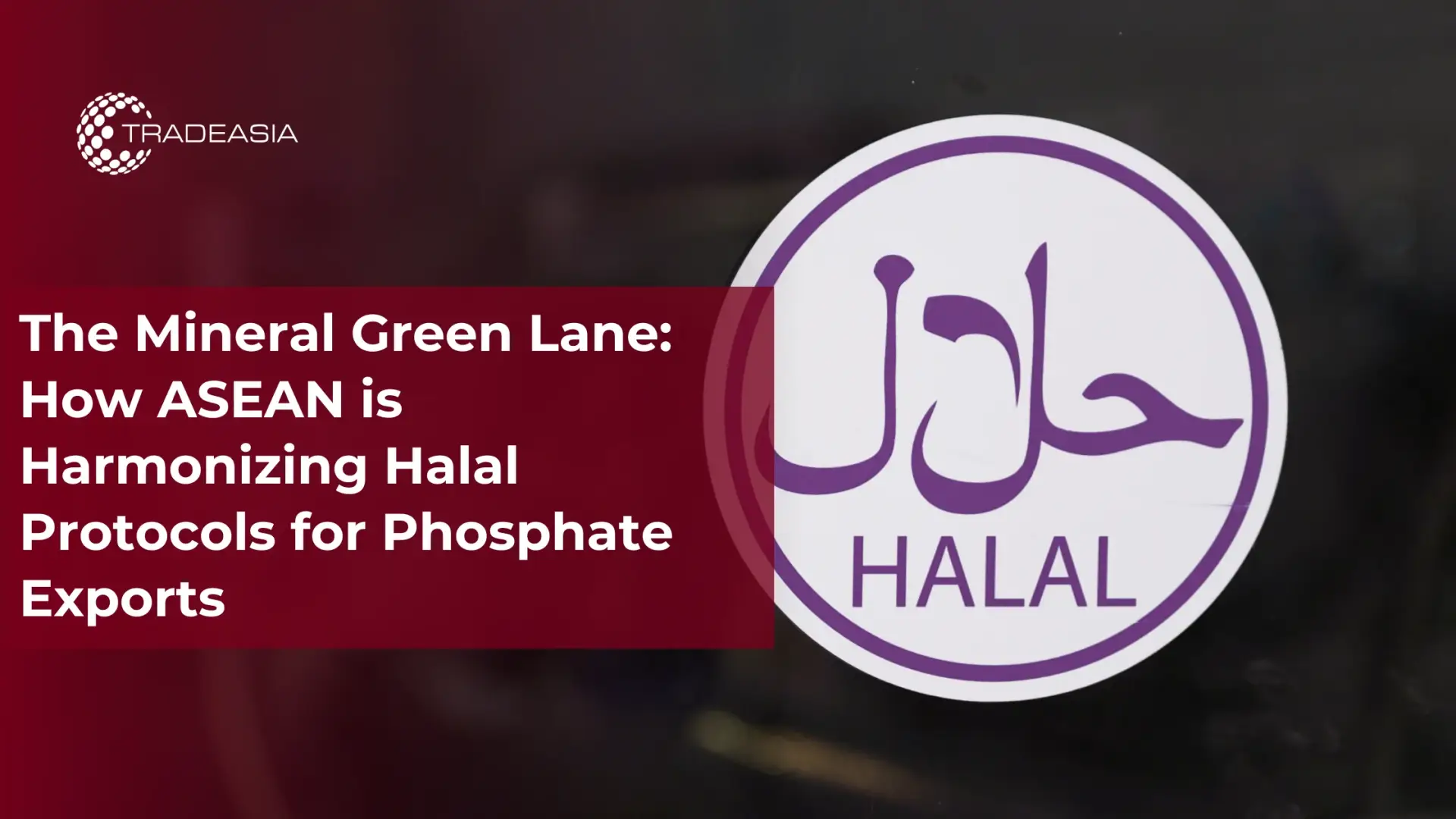 ¿Cómo afectará la armonización halal de la ASEAN a los aditivos de fosfato?