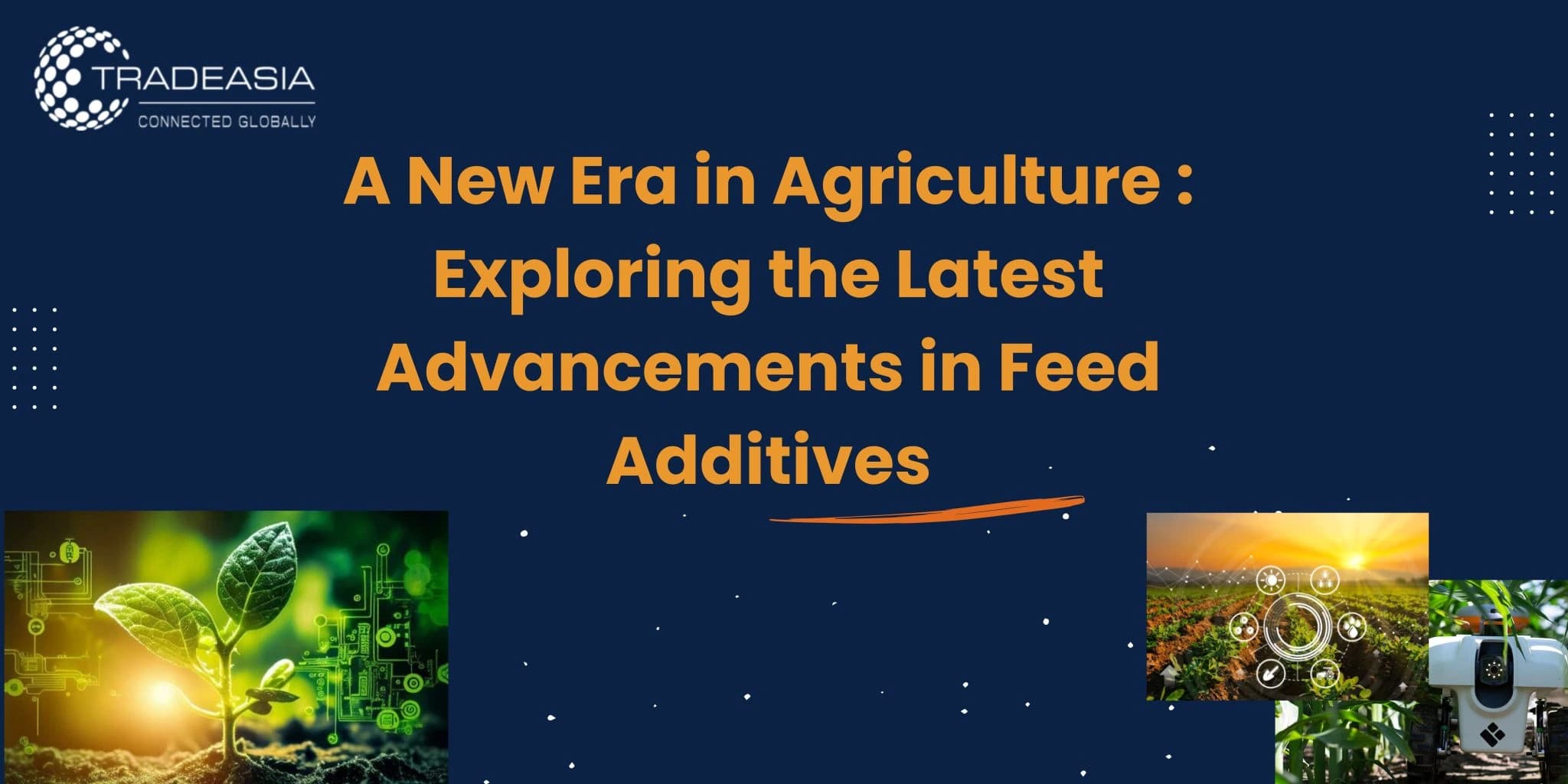 Una nueva era en la agricultura: exploración de los últimos avances en aditivos para piensos