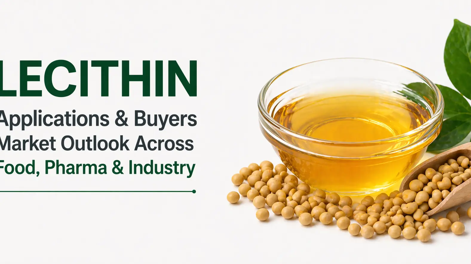 Perspectivas del mercado de compradores y aplicaciones de lecitina en la industria alimentaria, farmacéutica e industrial