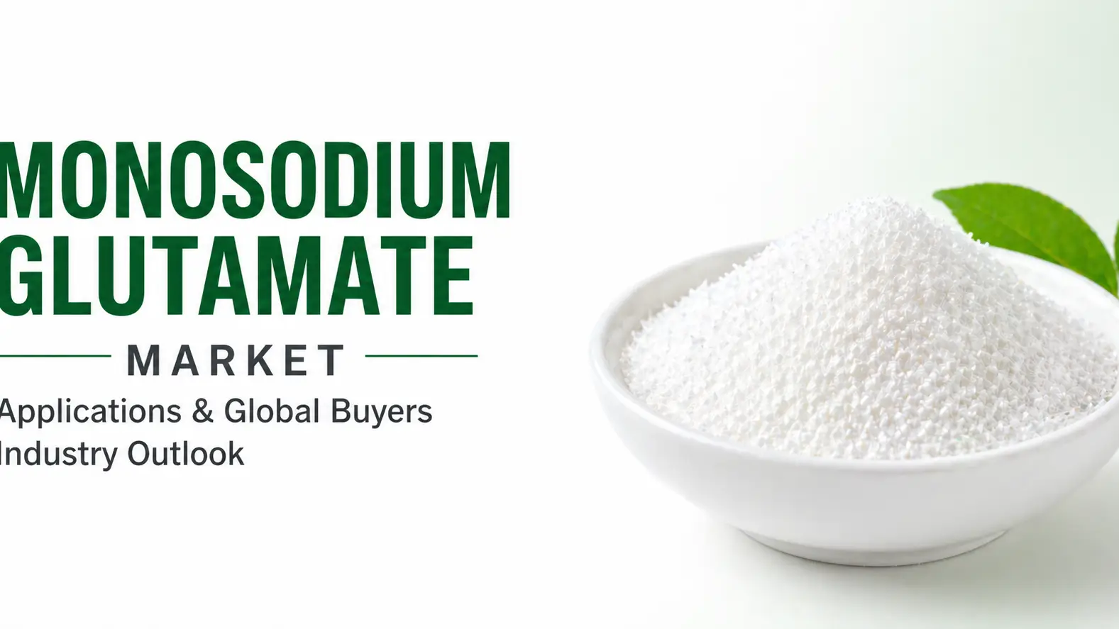 Monosodium Glutamate Market Applications & Global Buyers Industry Outlook