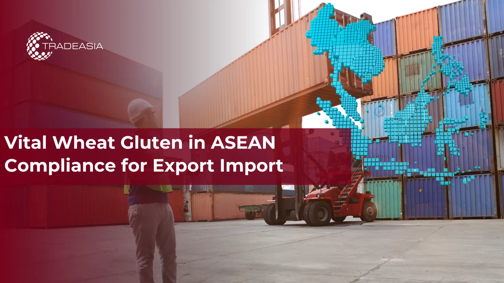 El gluten de trigo es vital para el cumplimiento de la ASEAN para la exportación e importación