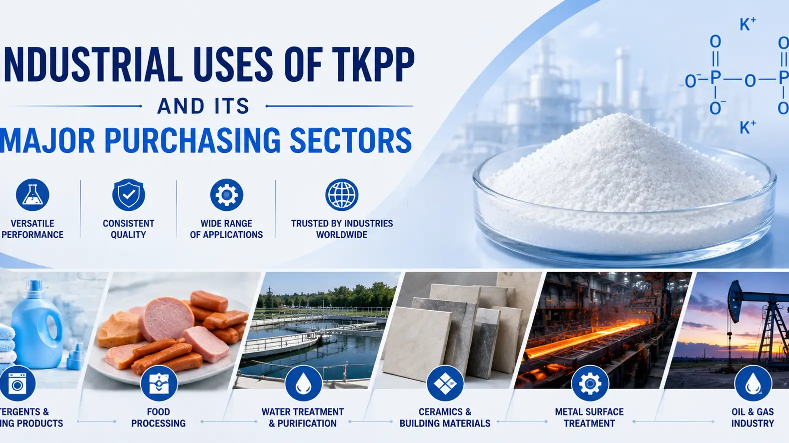 Usos industriales del TKPP y sus principales sectores de compras