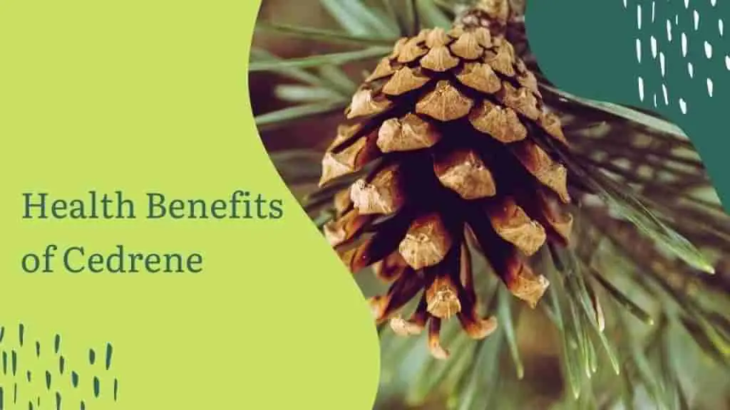 Beneficios para la salud del cedreno