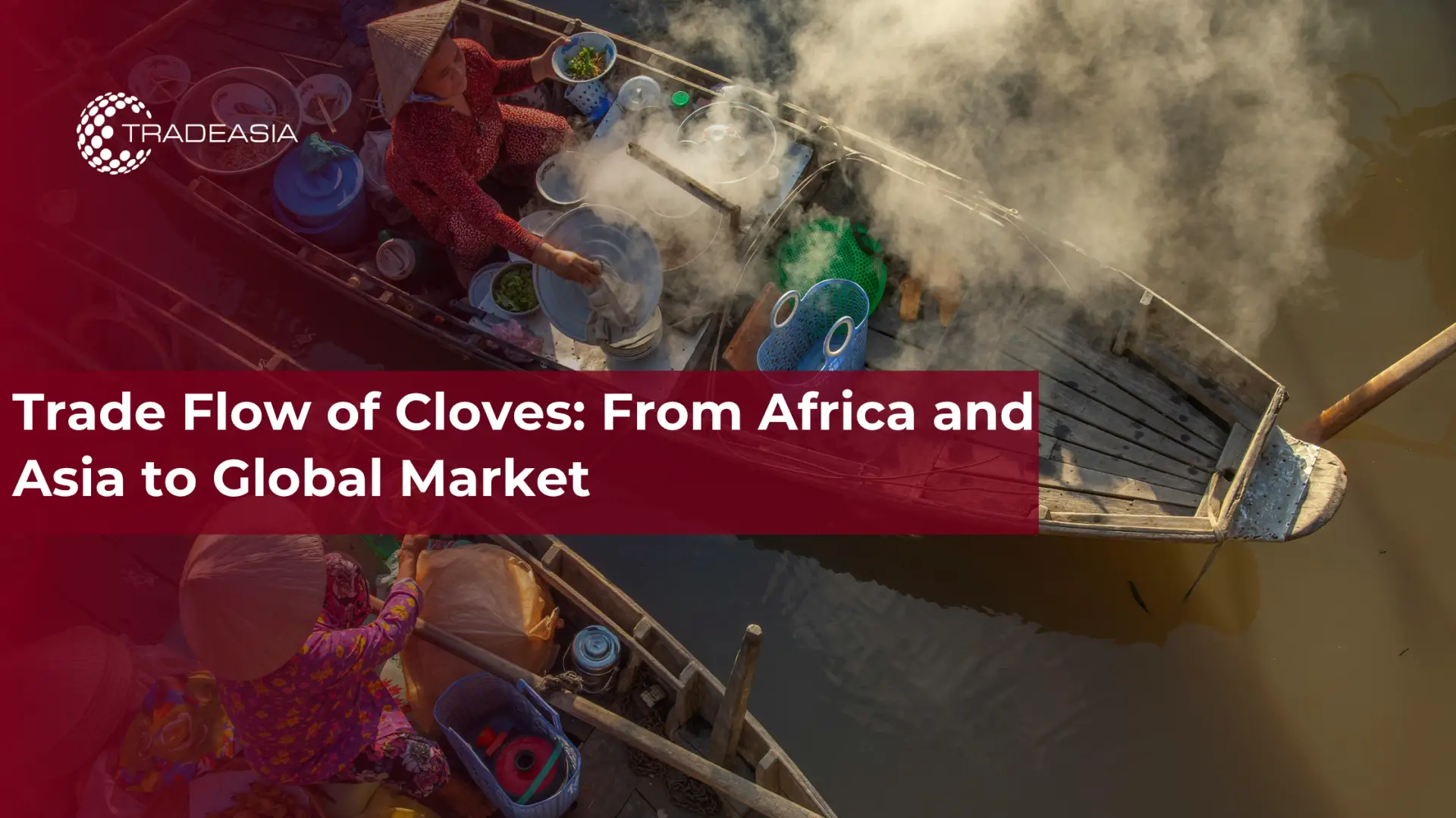 Flujo comercial de clavo: de África y Asia al mercado global