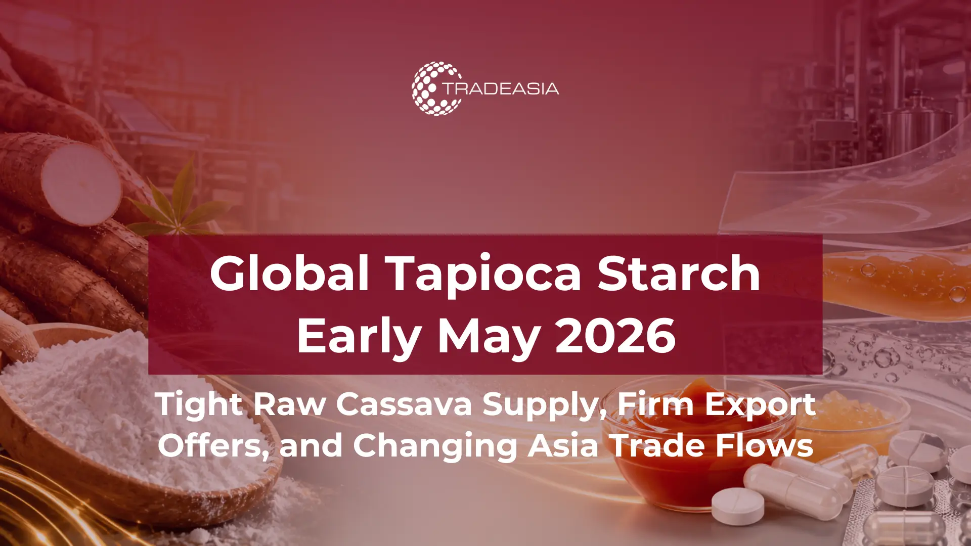 Almidón de tapioca mundial a principios de mayo de 2026: escasez de yuca cruda y dinámica comercial