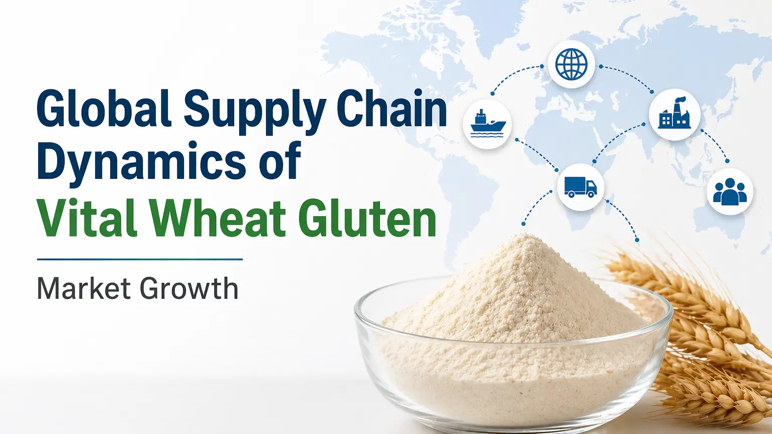 Global Supply Chain Dynamics of Vital Wheat Gluten Market Growth