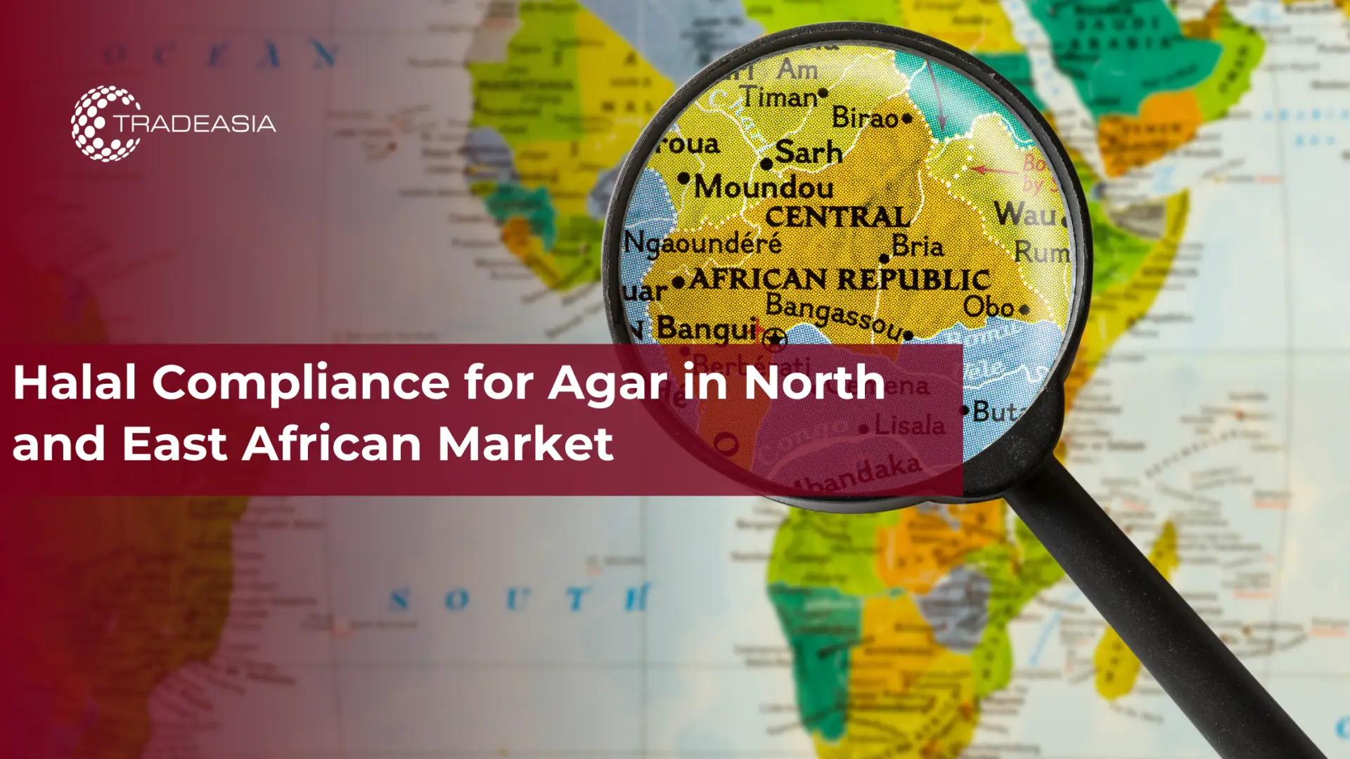 Cumplimiento halal del agar en el mercado del norte y este de África