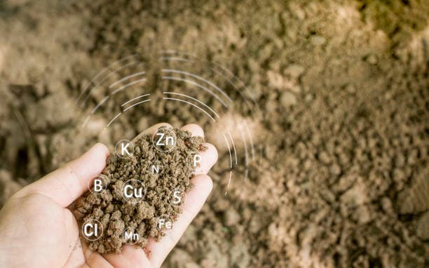 EPA's New PFAS Guidance: Impact on Biosolids, Fertilizer, and the Food Chain