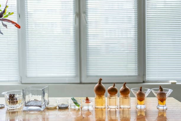 La ciencia olfativa de Osmo y el futuro del diseño de ingredientes adyacentes al sabor