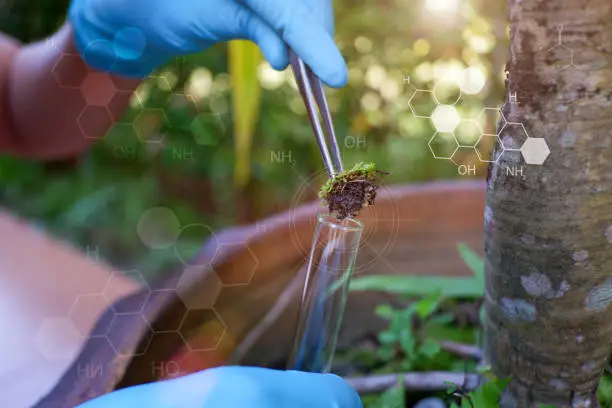 Braskem's Agricultural-Adjacent Biobased Chemistry Continues Through Ownership Change