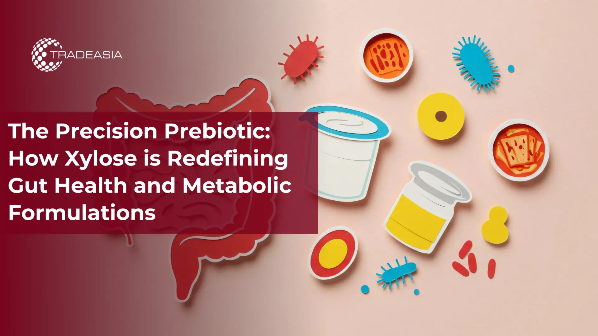The Precision Prebiotic: How Xylose is Redefining Gut Health and Metabolic Formulations
