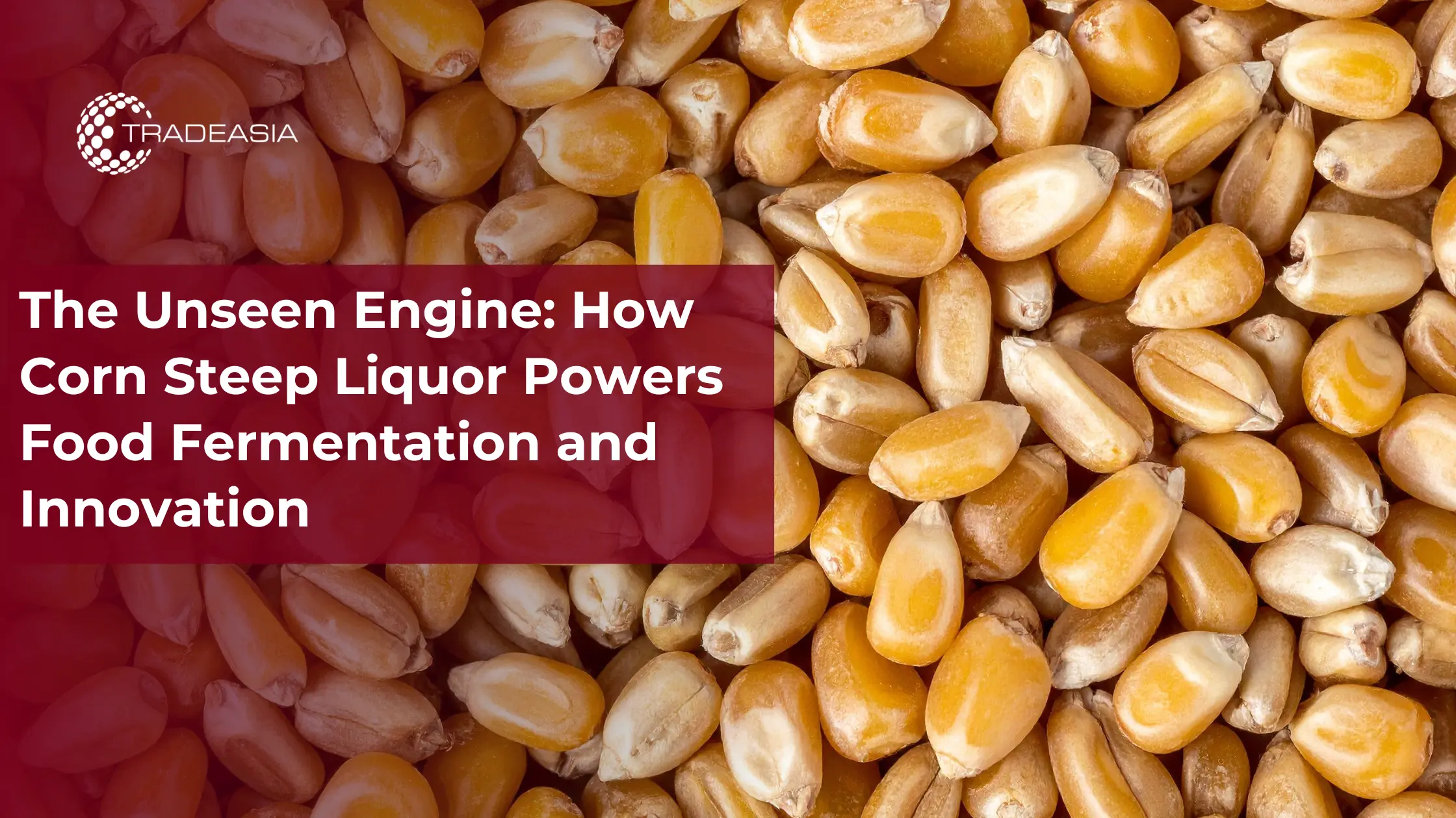 The Unseen Engine: How Corn Steep Liquor Powers Food Fermentation and Innovation