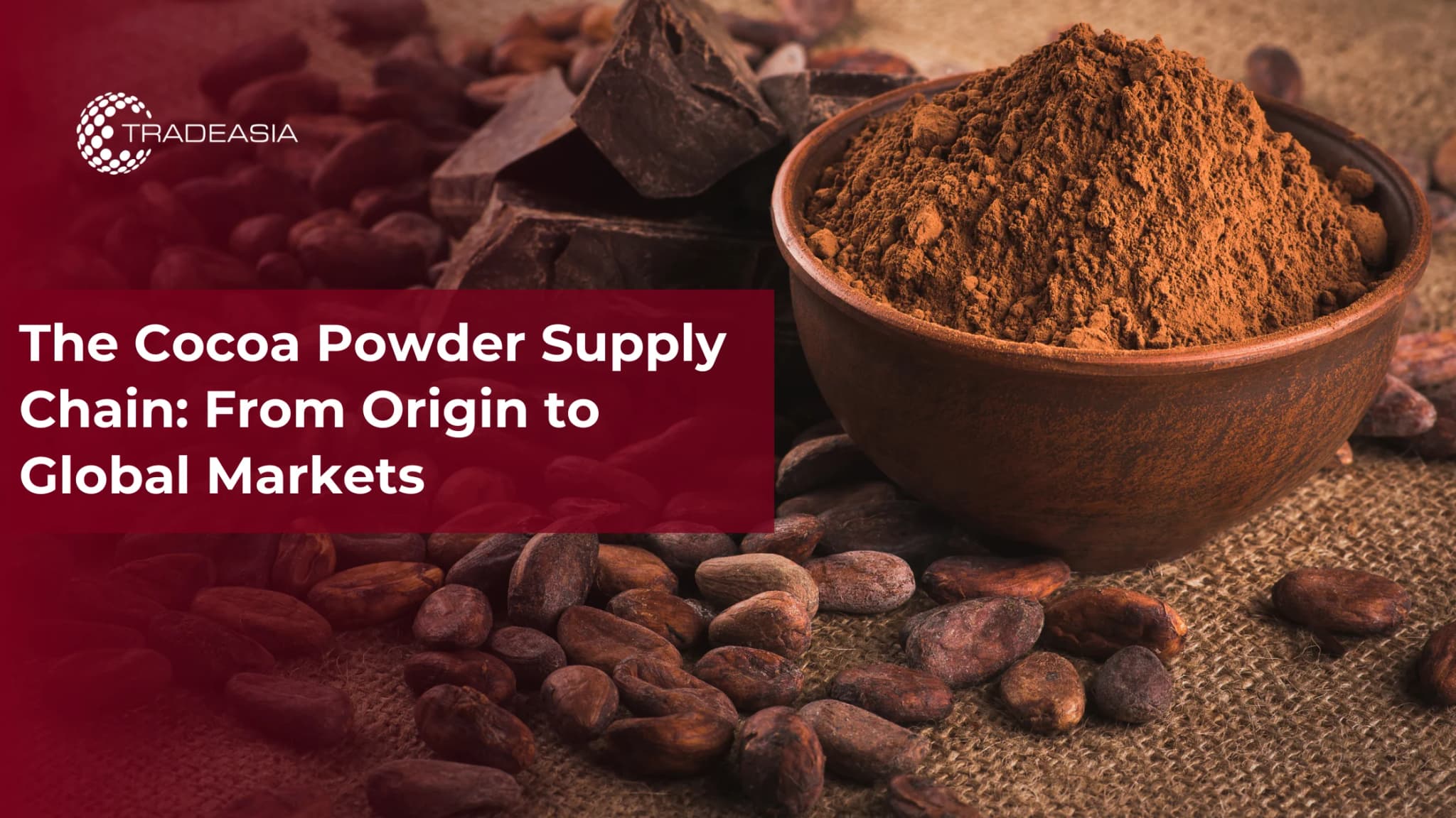 The Cocoa Powder Supply Chain: From Origin to Global Markets