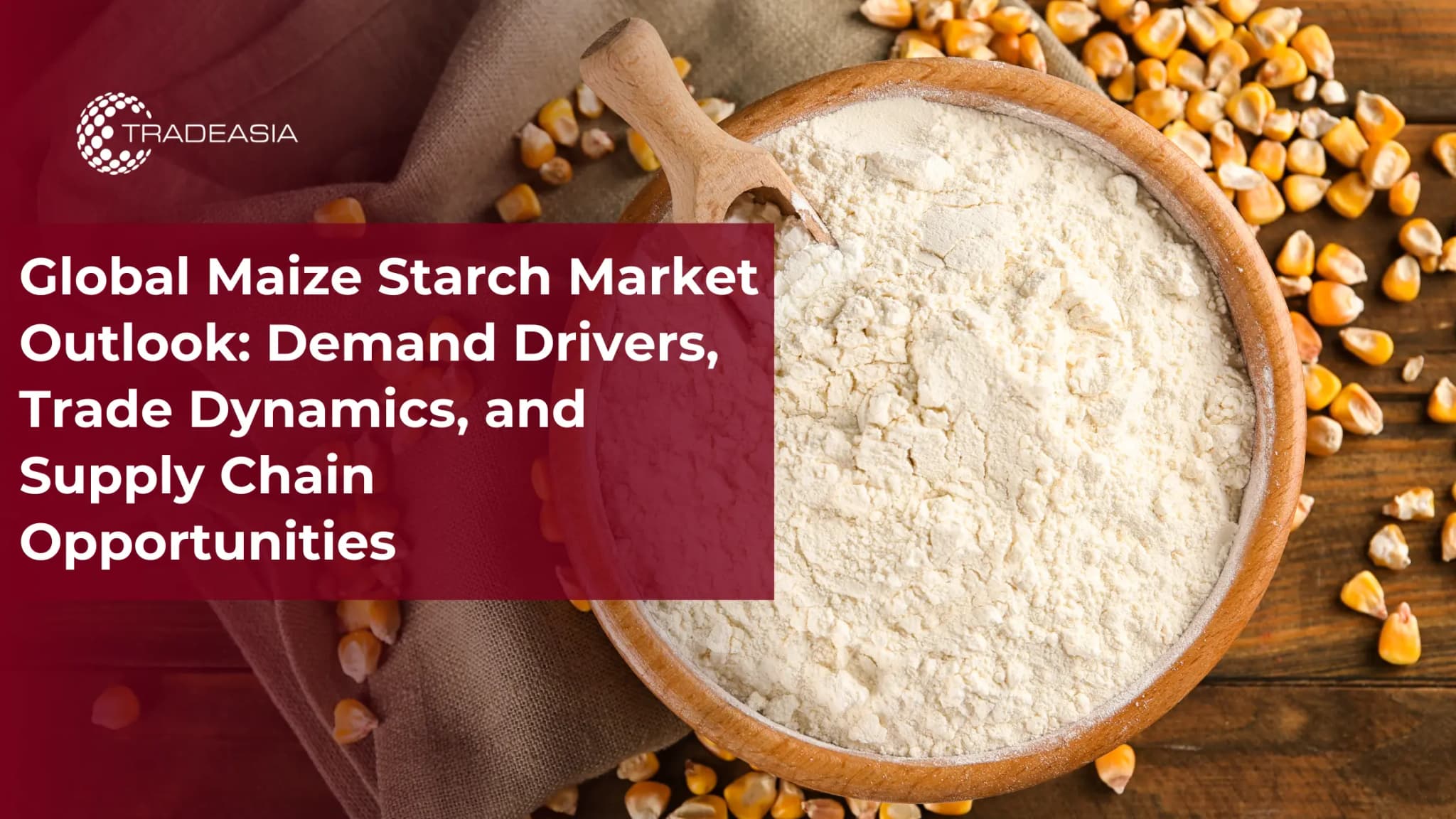 Global Maize Starch Market Outlook and Supply Chain Opportunities