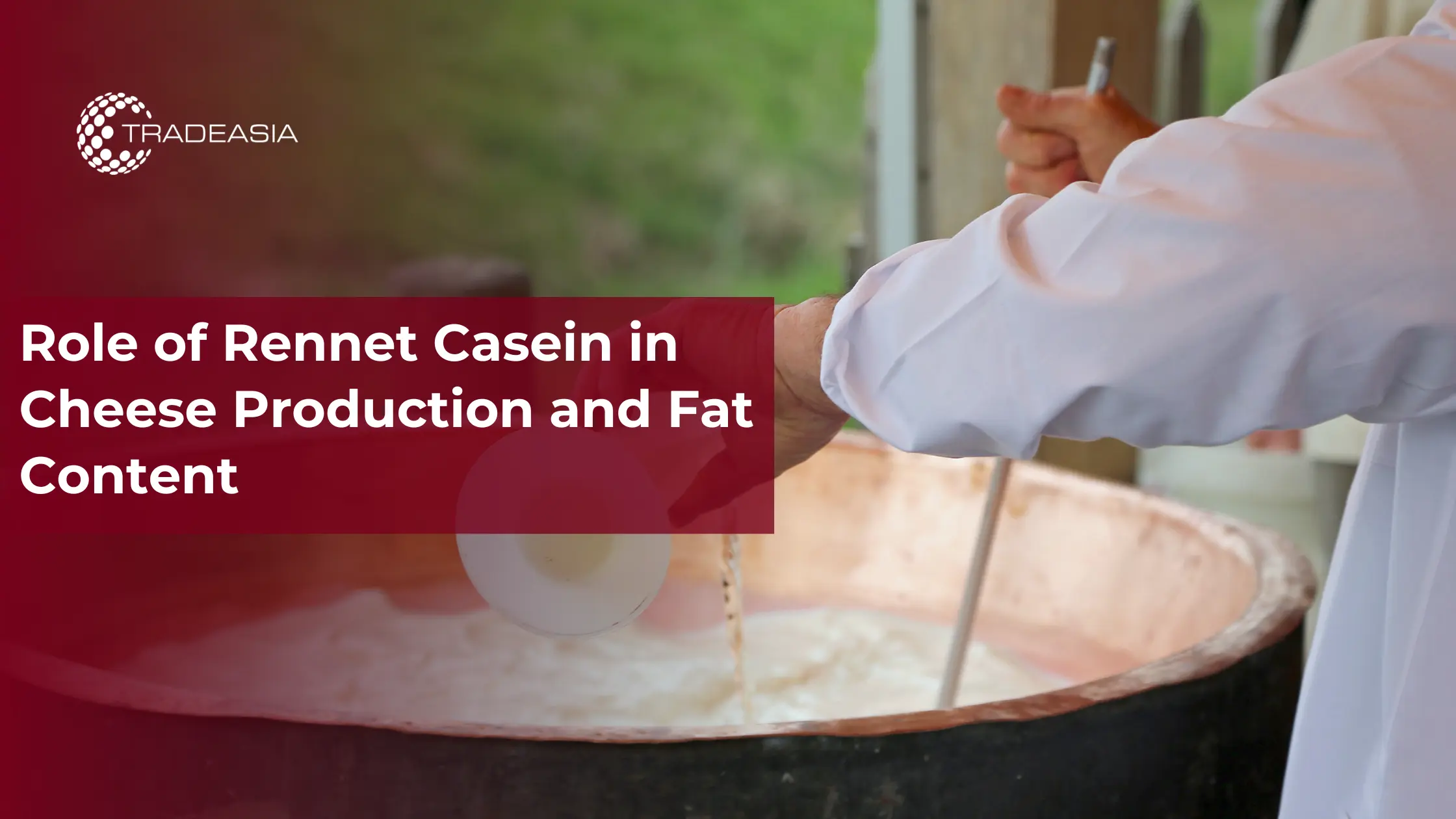 Role of Rennet Casein in Cheese Production and Fat Content