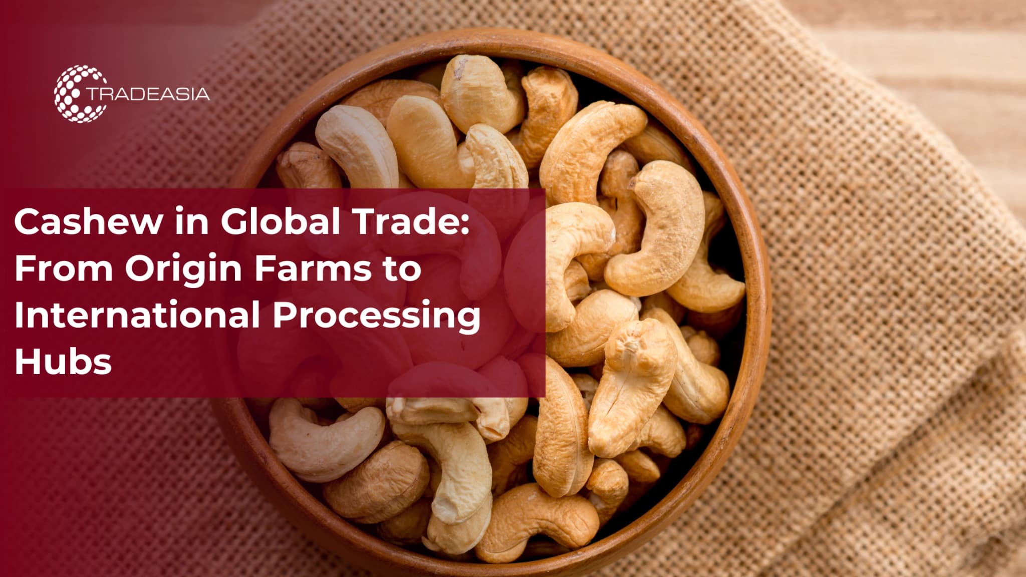 Cashew in Global Trade: From Origin Farms to International Processing Hubs
