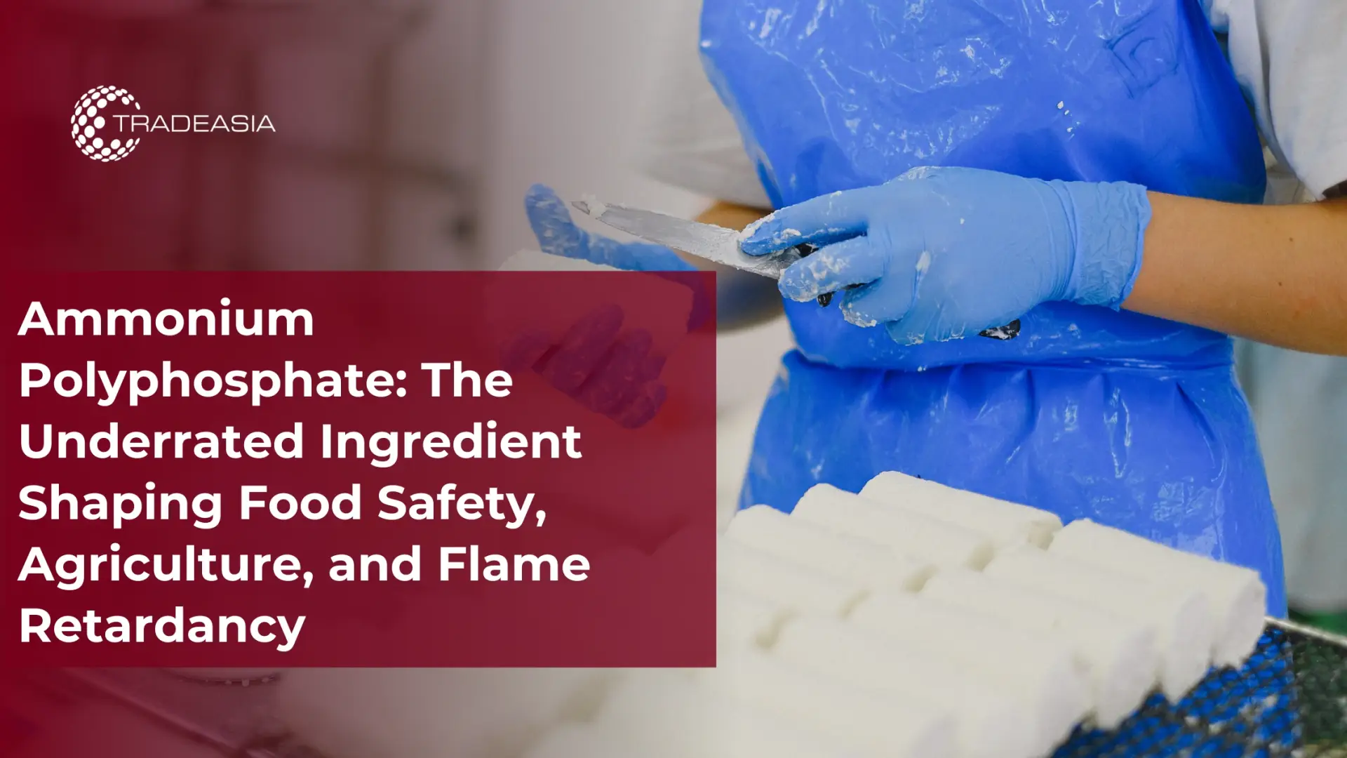 Ammonium Polyphosphate Shaping Food Safety, Agriculture, and Flame Retardancy