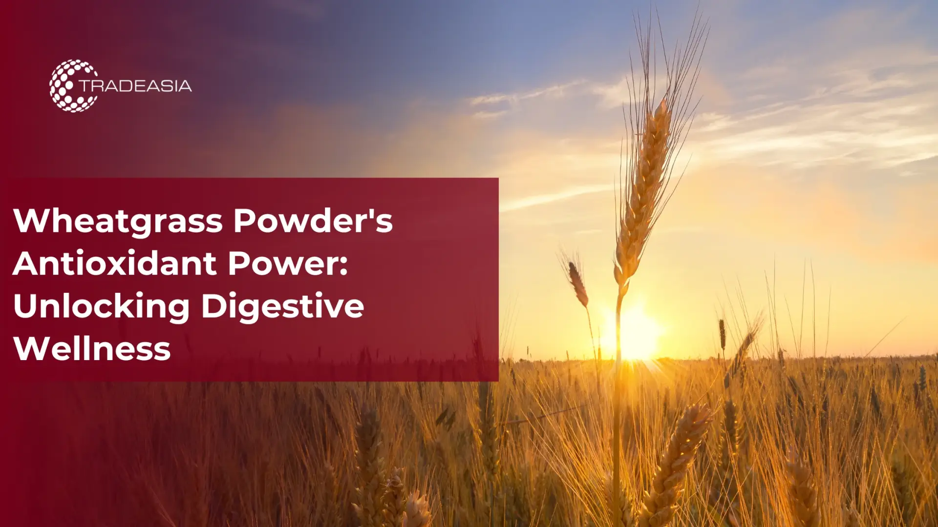 Wheatgrass Powder's Antioxidant Power: Unlocking Digestive Wellness