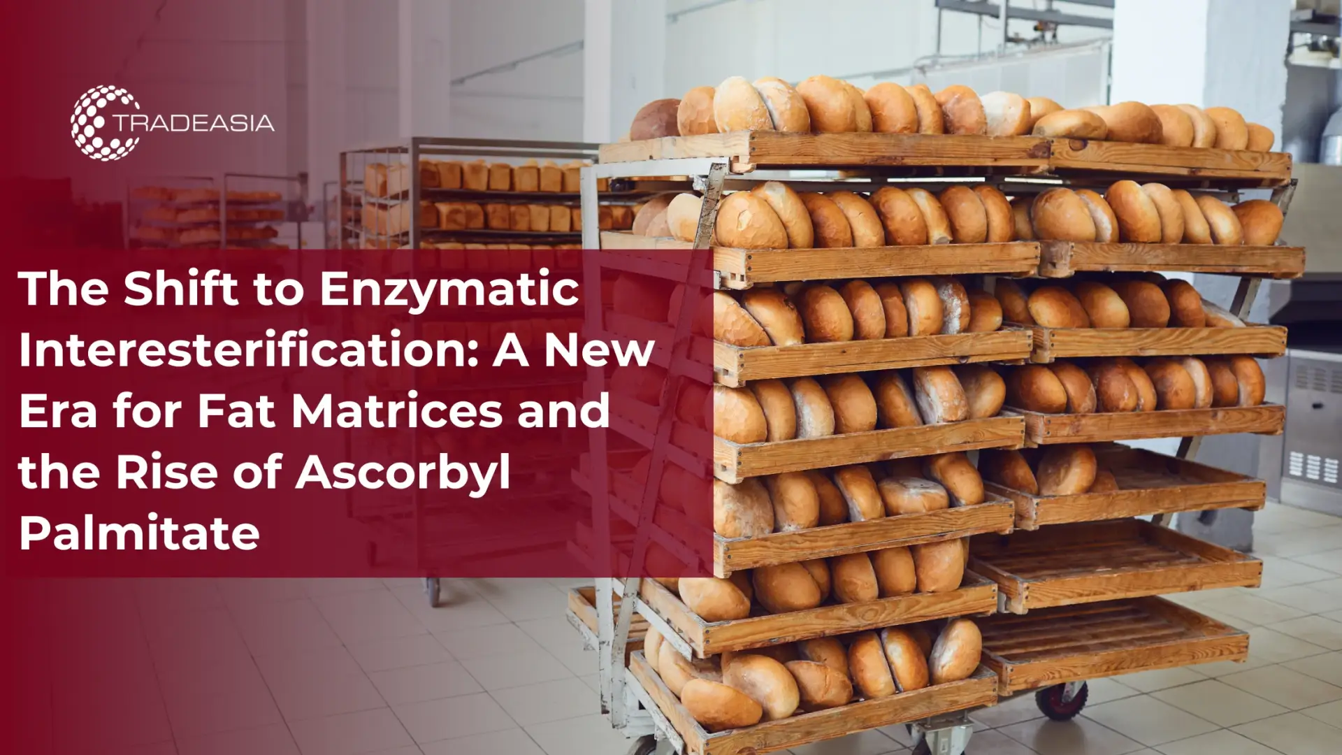 The Shift to Enzymatic Interesterification: A New Era for Fat Matrices and the Rise of Ascorbyl Palmitate