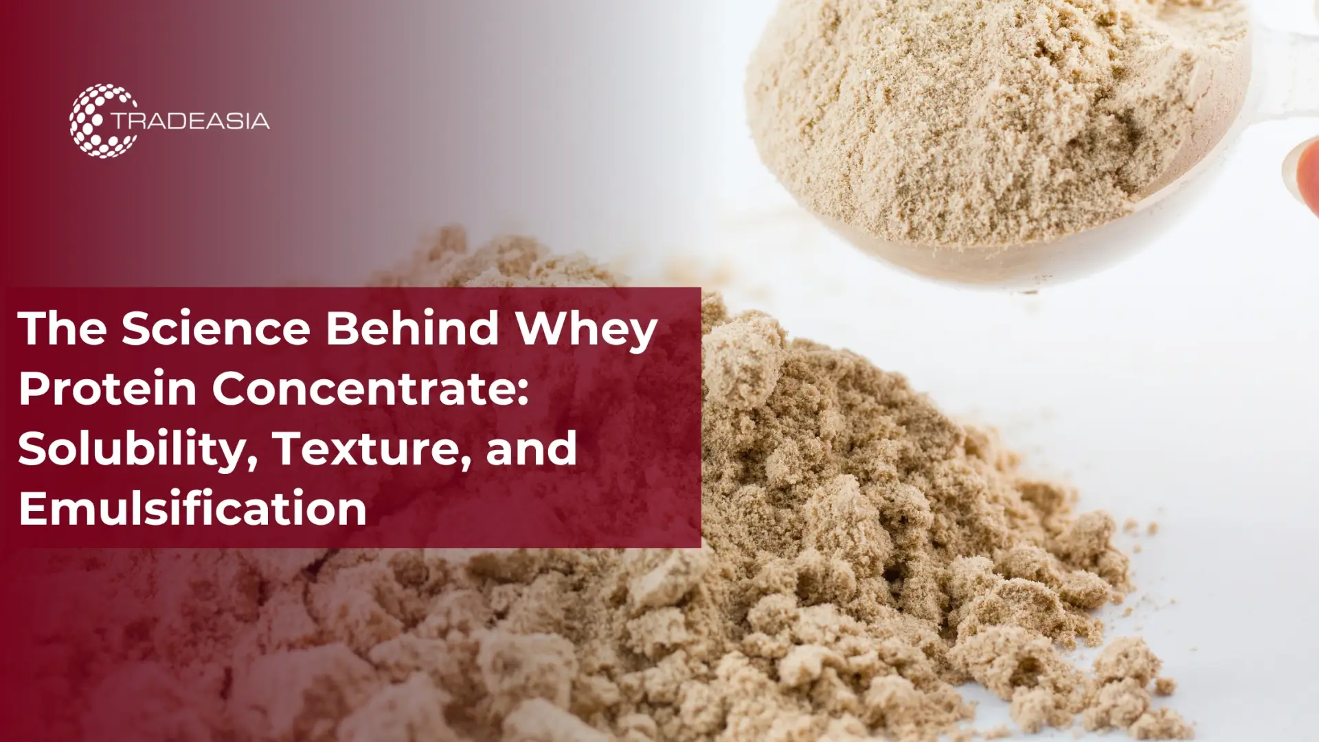 The Science Behind Whey Protein Concentrate: Solubility, Texture, and Emulsification