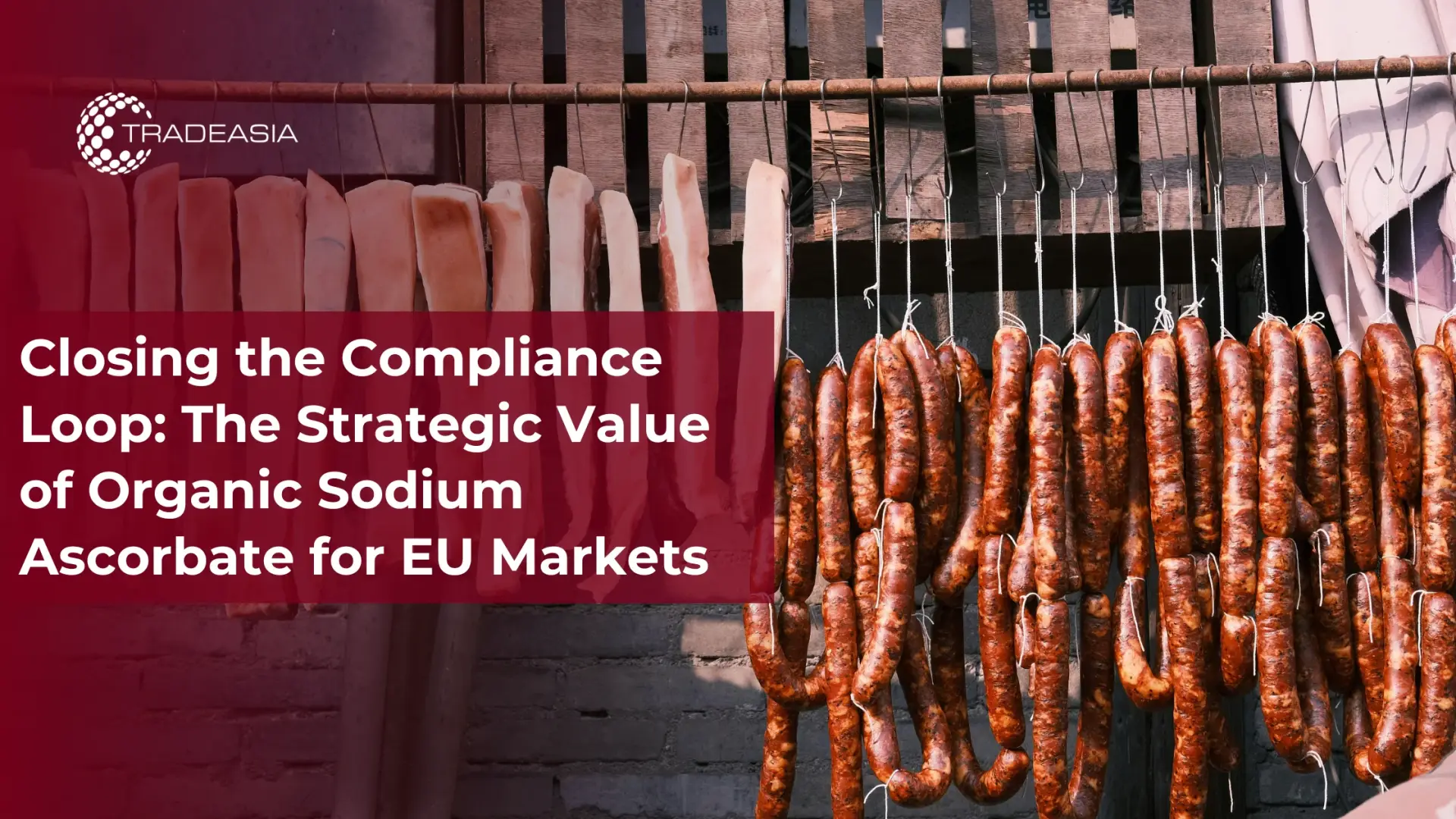 Closing the Compliance Loop: The Strategic Value of Organic Sodium Ascorbate for EU Markets