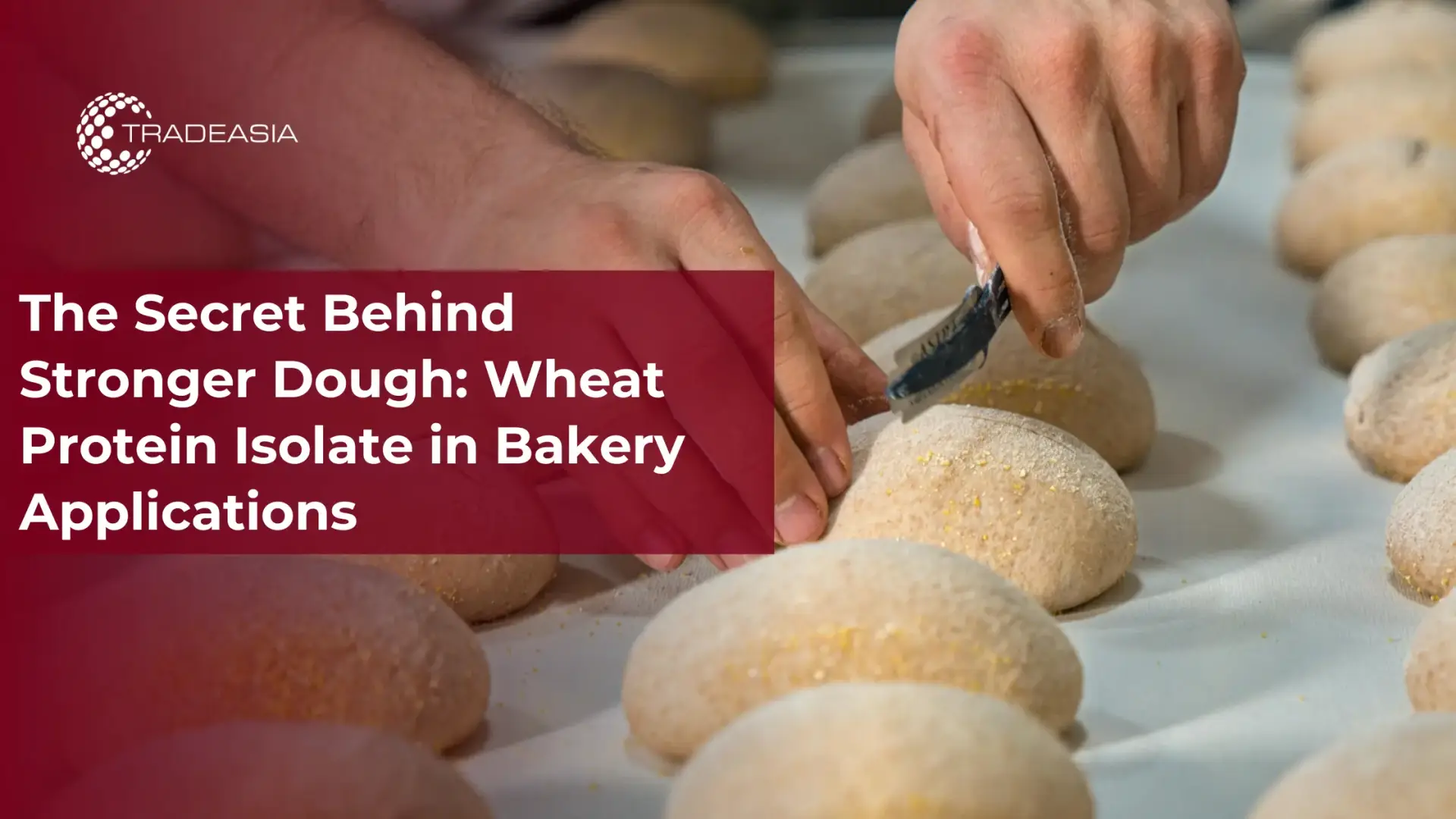 The Secret Behind Stronger Dough: Wheat Protein Isolate in Bakery Applications