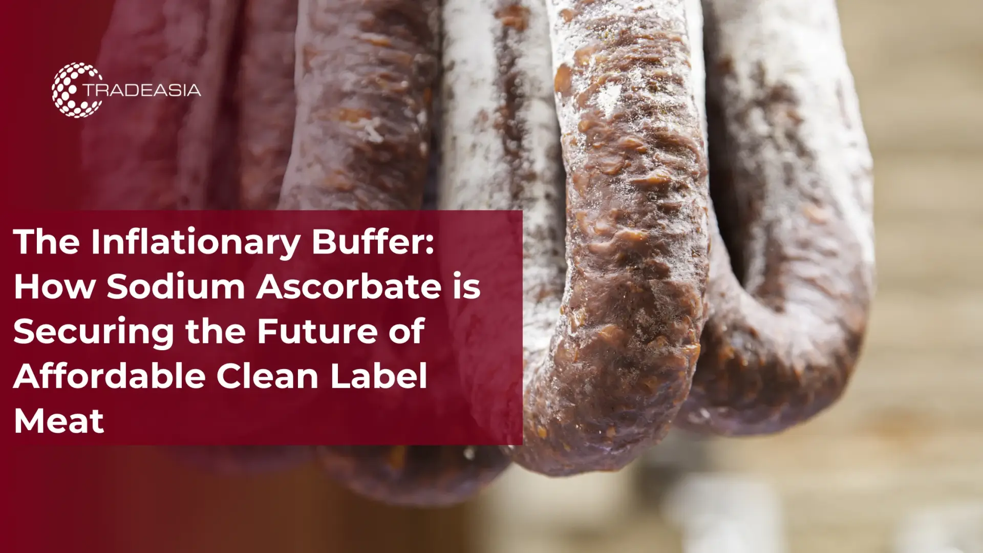 The Inflationary Buffer: How Sodium Ascorbate is Securing the Future of Affordable Clean Label Meat