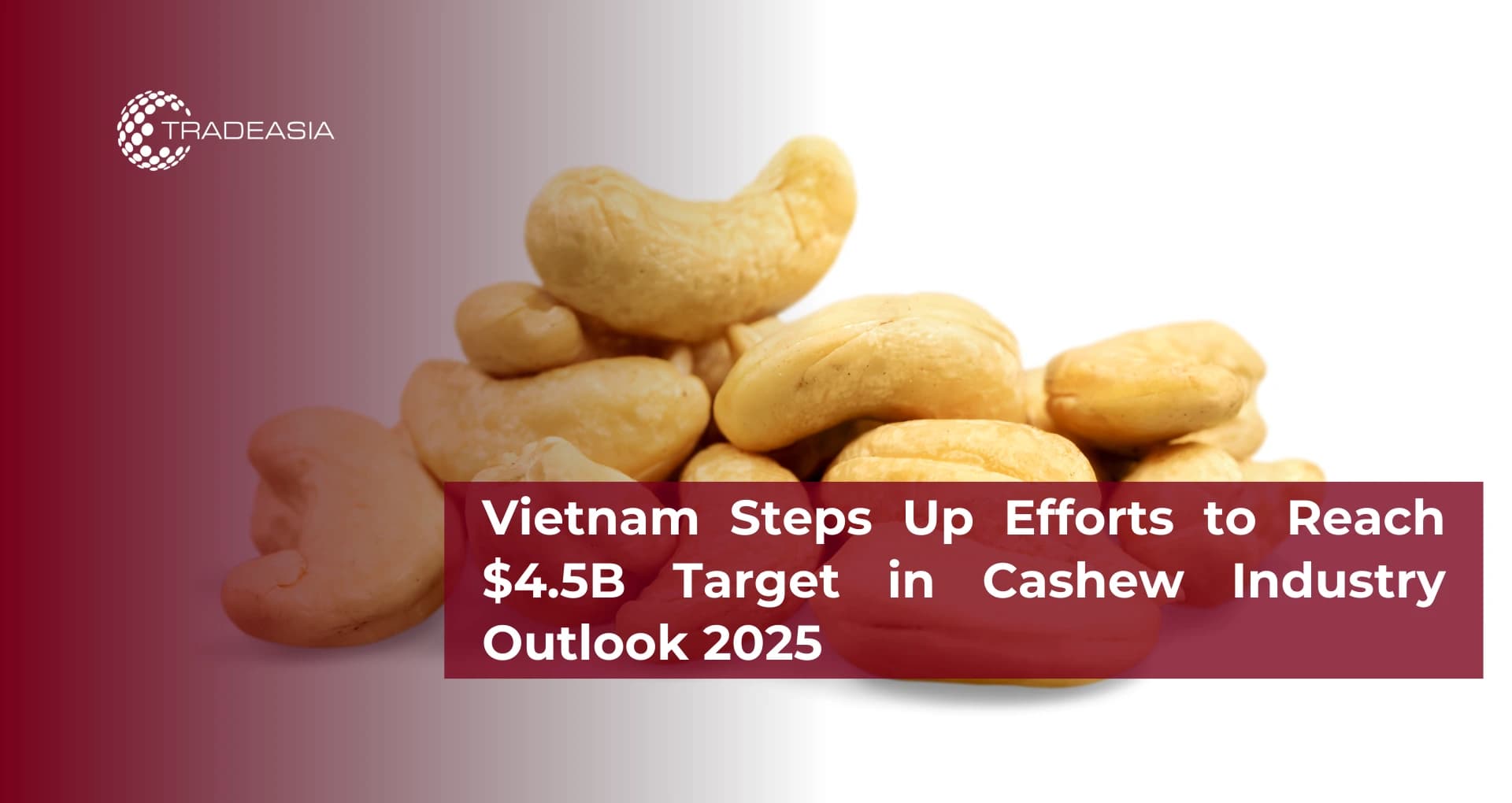 Vietnam Steps Up Efforts to Reach $4.5B Target in Cashew Industry Outlook 2025
