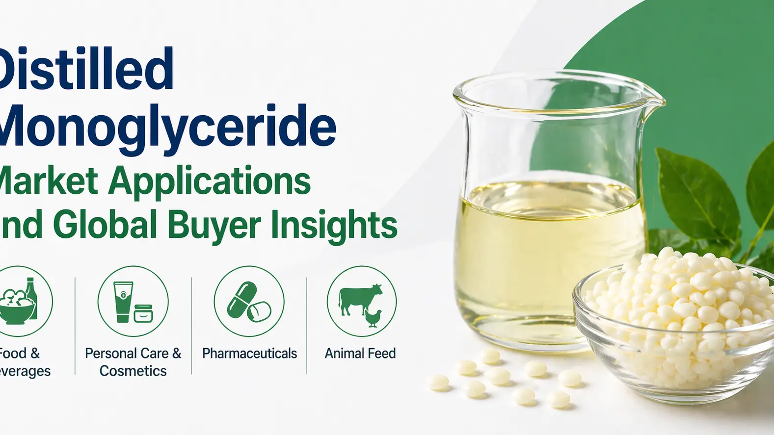Distilled Monoglyceride Market Applications and Global Buyer Insights