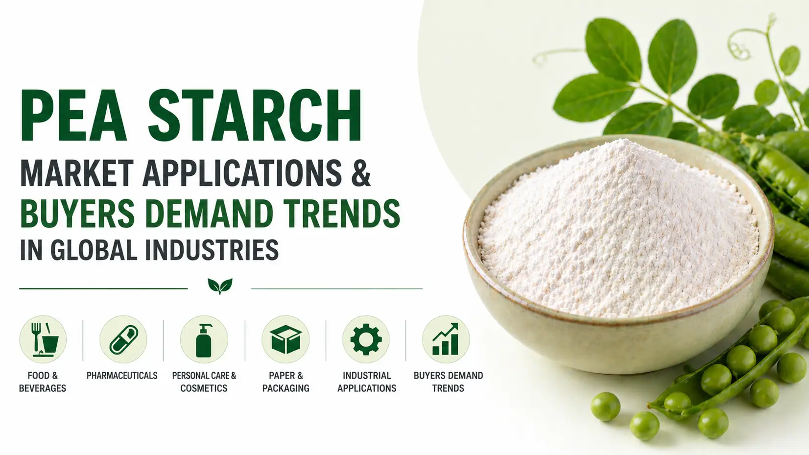 Pea Starch Market Applications & Buyers Demand Trends in Global Industries