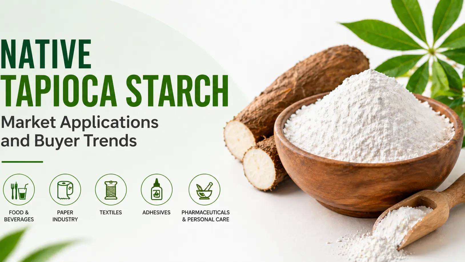 Native Tapioca Starch Market Applications and Buyer Trends