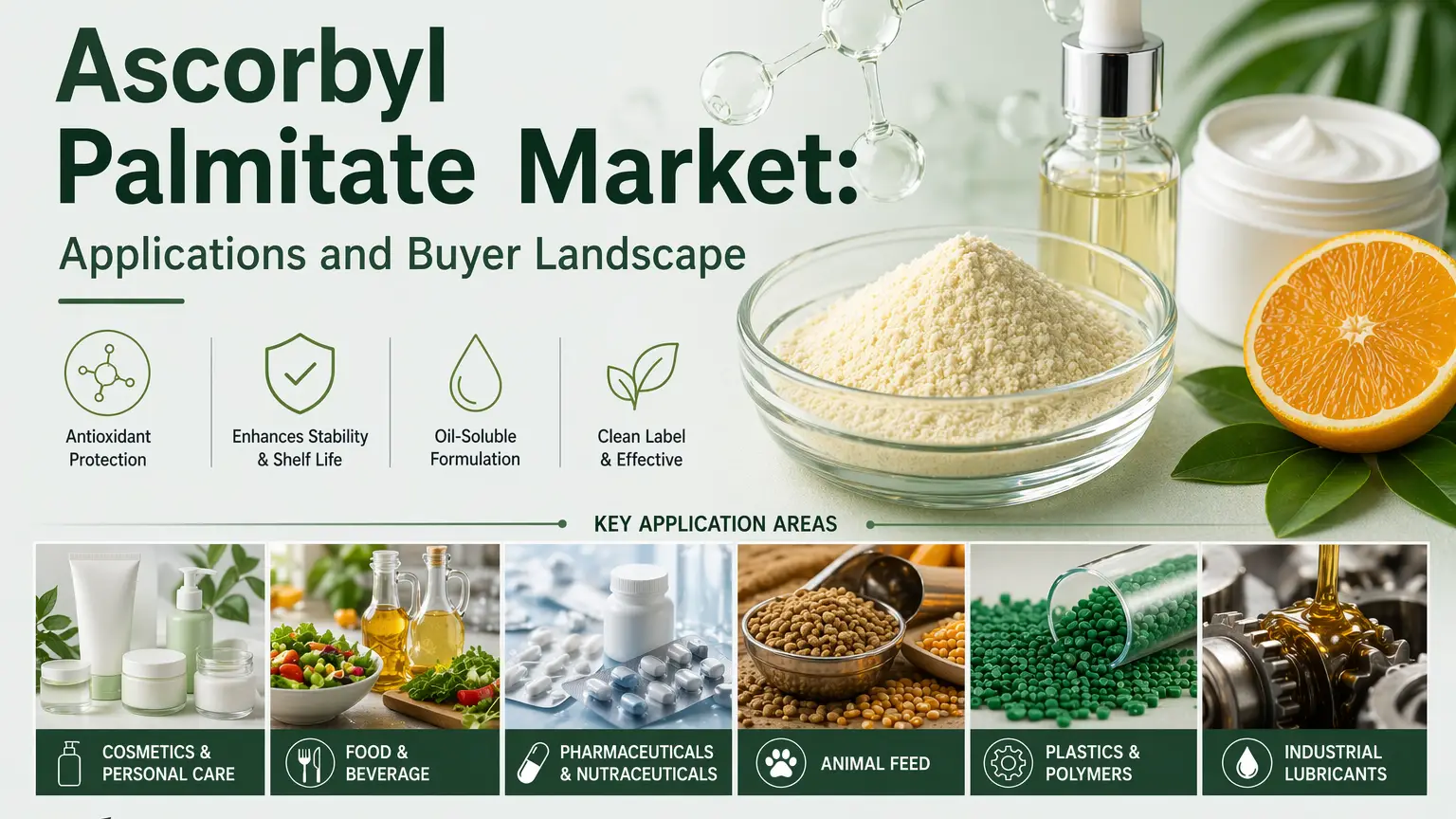 Ascorbyl Palmitate Market: Applications and Buyer Landscape