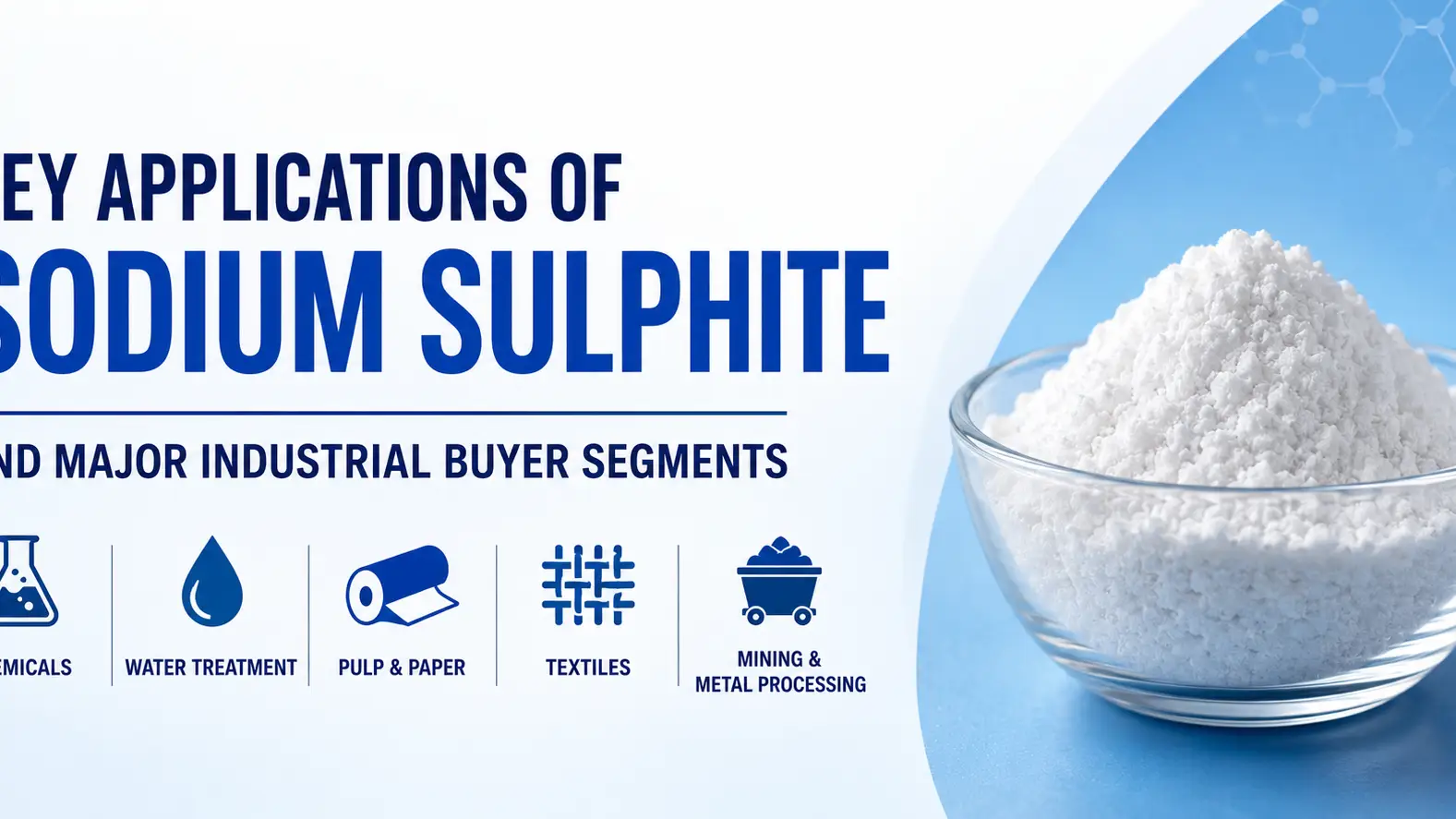 Key Applications of Sodium Sulphite and Major Industrial Buyer Segments
