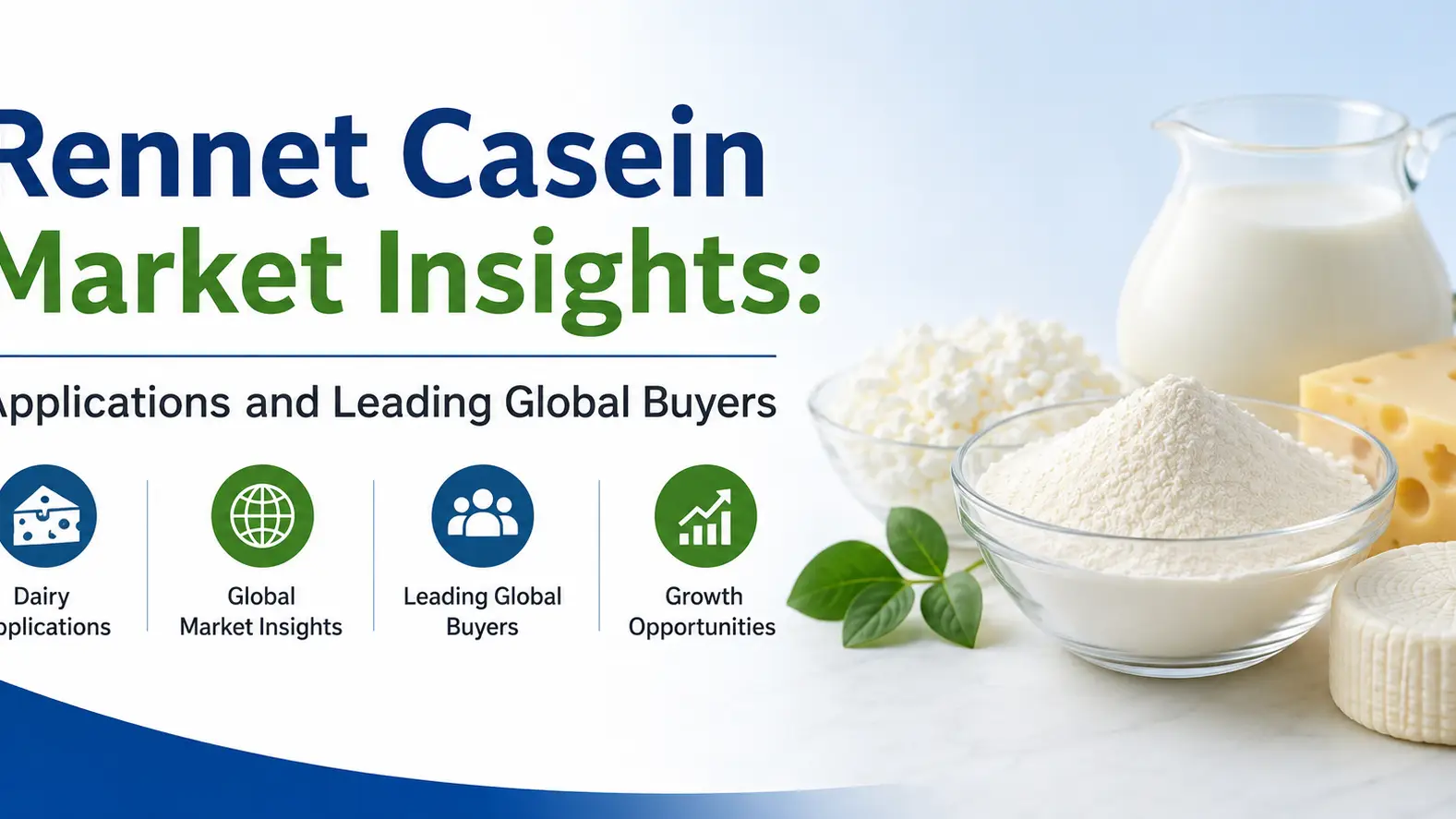 Rennet Casein Market Insights: Applications and Leading Global Buyers