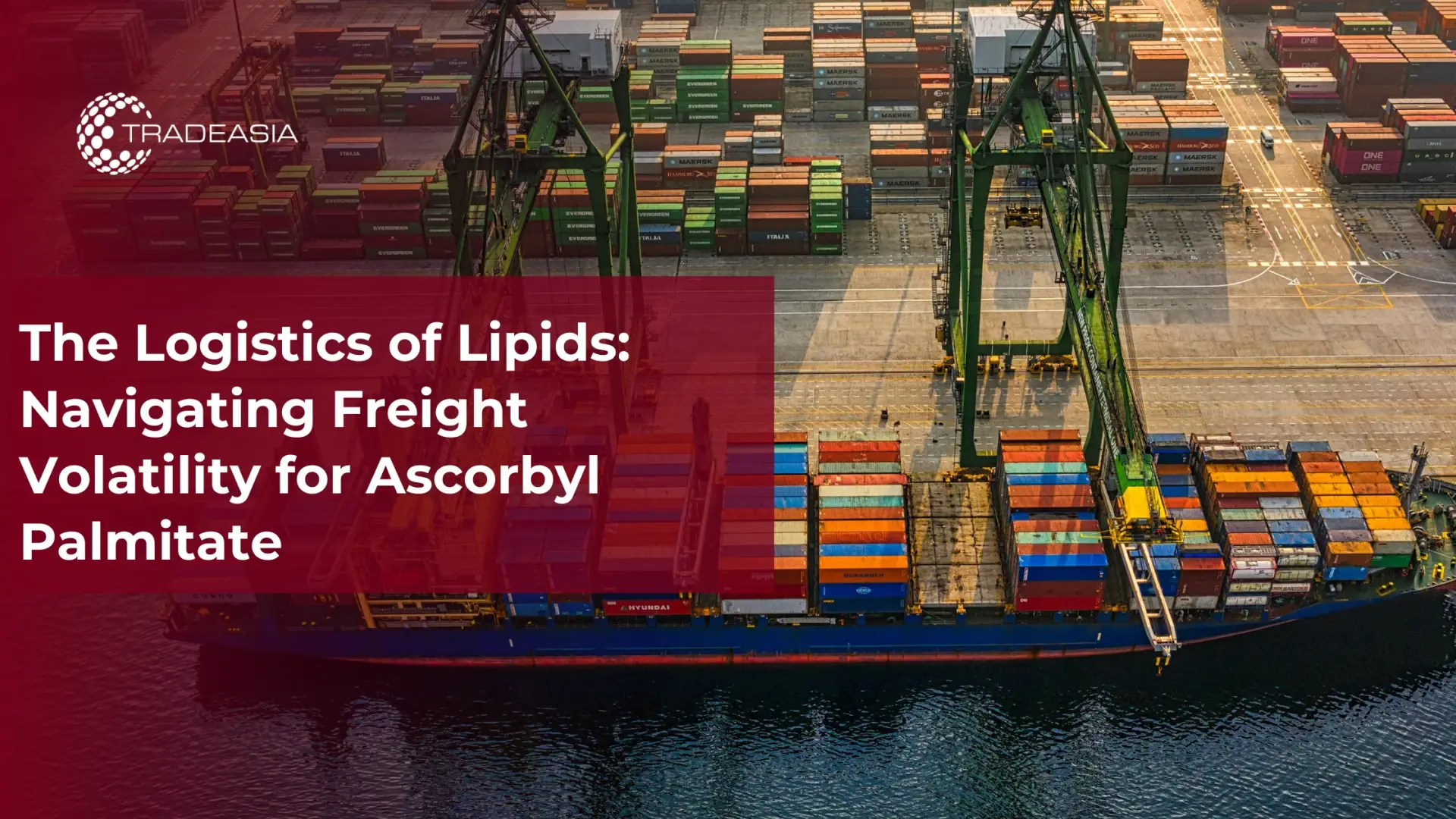 Ascorbyl Palmitate Freight Volatility Explained