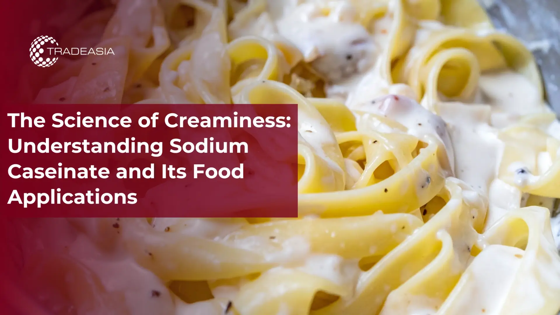 Understanding Sodium Caseinate and Its Food Applications