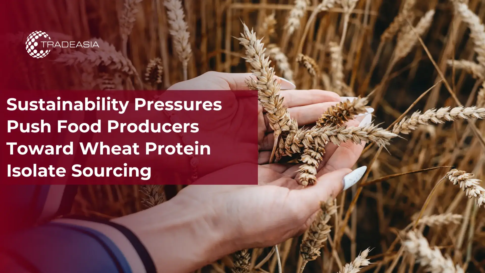 Sustainability Pressures Push Food Producers Toward Wheat Protein Isolate