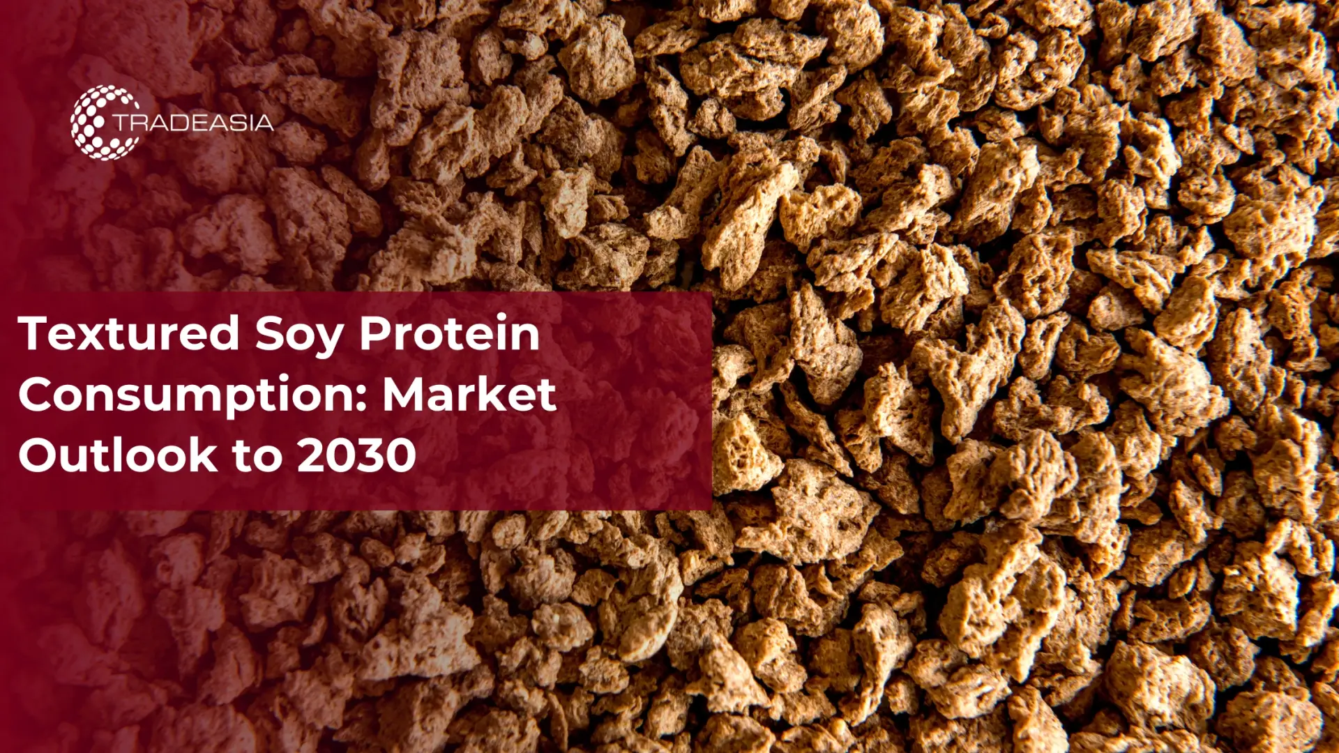 Textured Soy Protein Consumption: Market Outlook to 2030