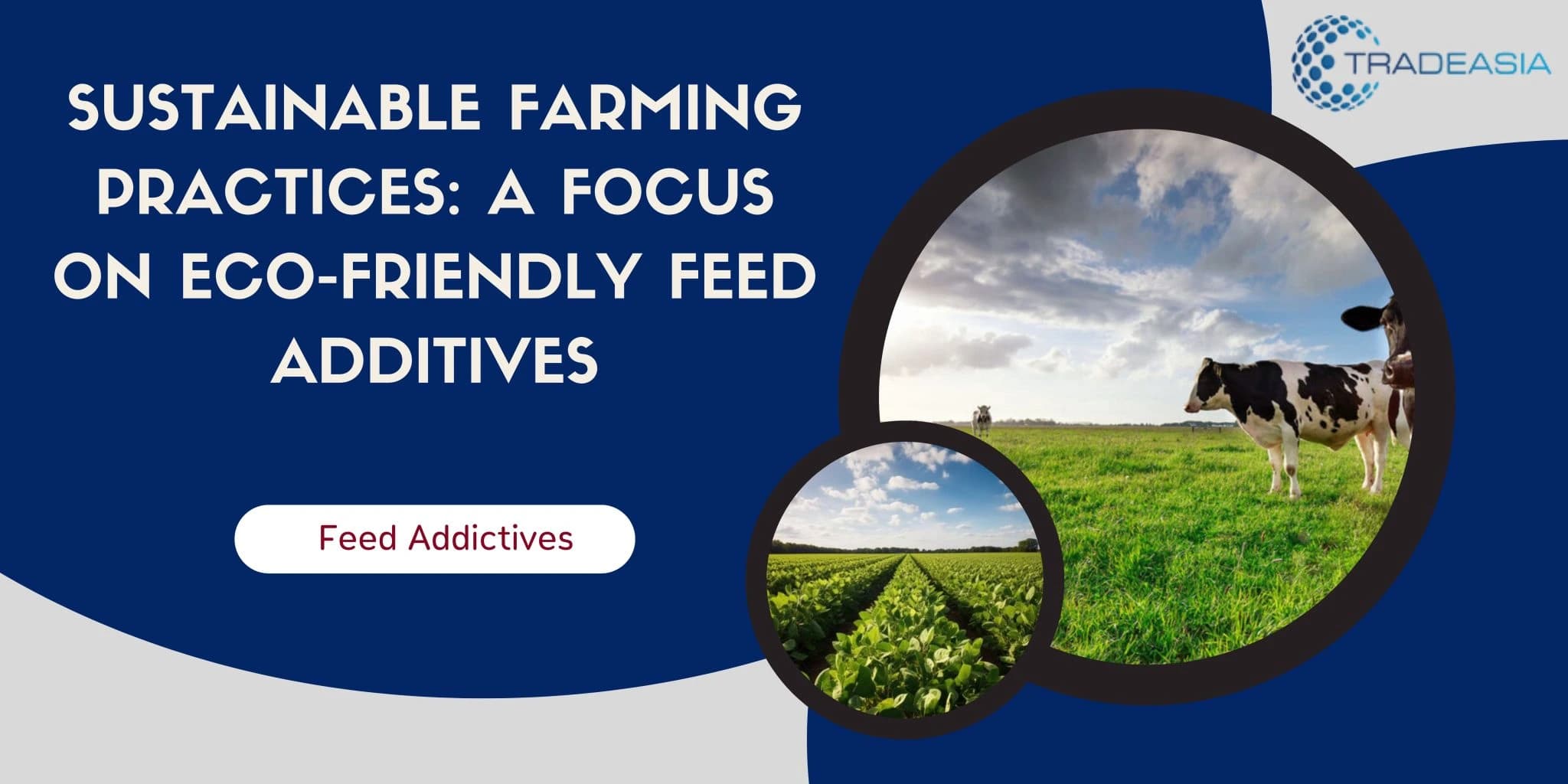 Sustainable Farming Practices: A Focus on Eco-Friendly Feed Additives