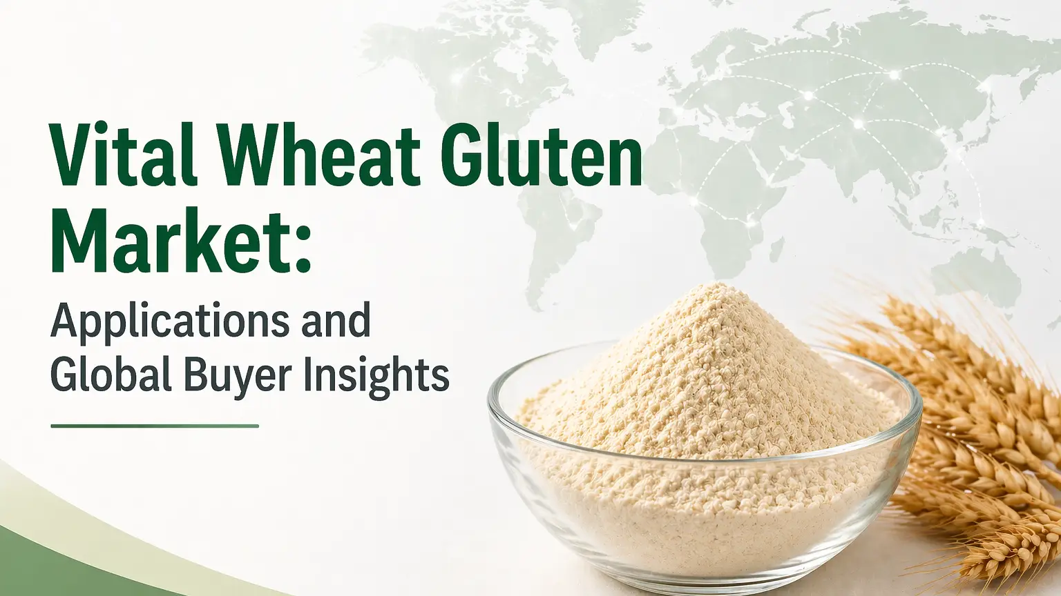 Vital Wheat Gluten Market: Applications and Global Buyer Insights