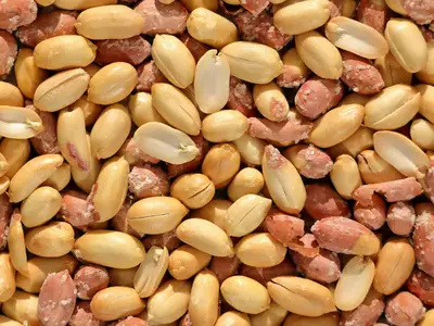 Peanut