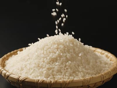 Japonica Rice