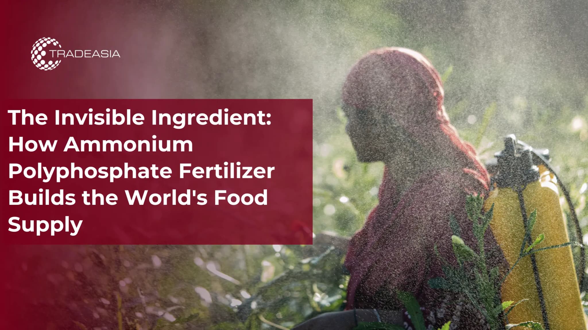 How Ammonium Polyphosphate Fertilizer Builds the World's Food Supply