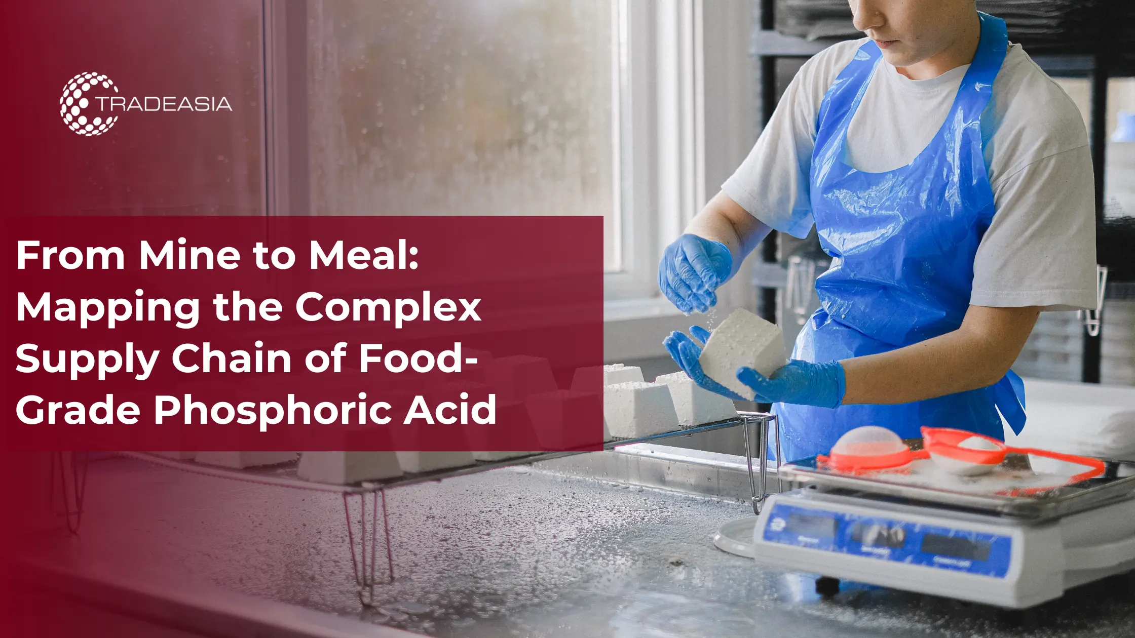 From Mine to Meal: Mapping the Complex Supply Chain of Food-Grade Phosphoric Acid