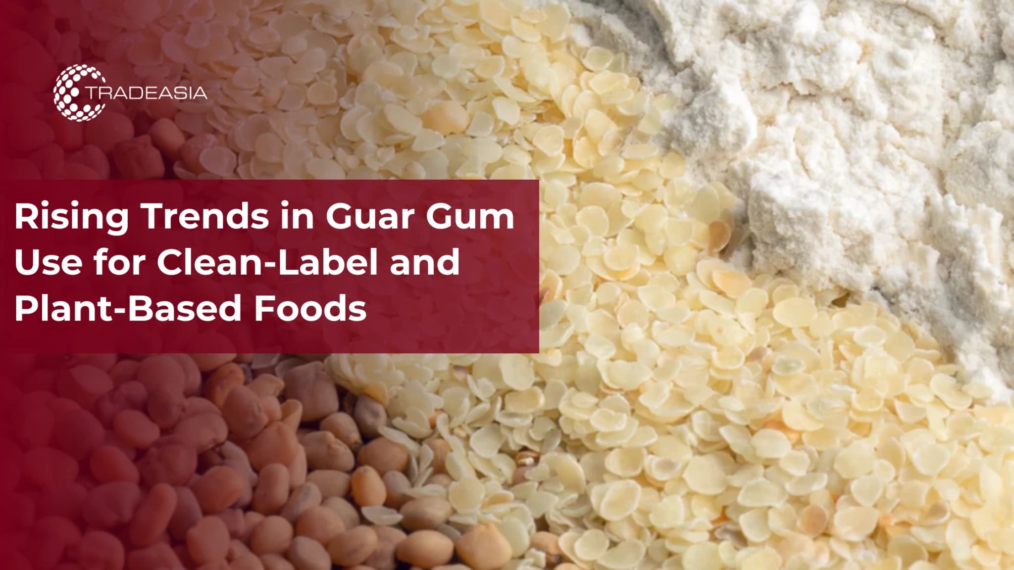 Rising Trends in Guar Gum Use for Clean-Label and Plant-Based Foods