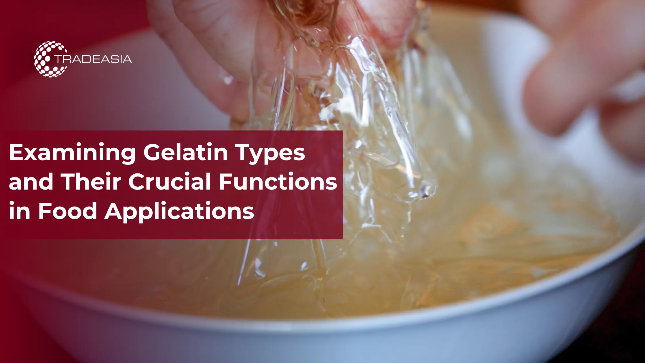 Examining Gelatin Types and Their Crucial Functions in Food Applications