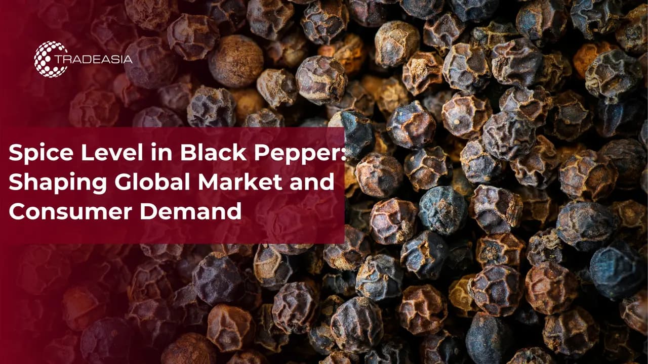 Spice Level in Black Pepper: Shaping Global Market and Consumer Demand