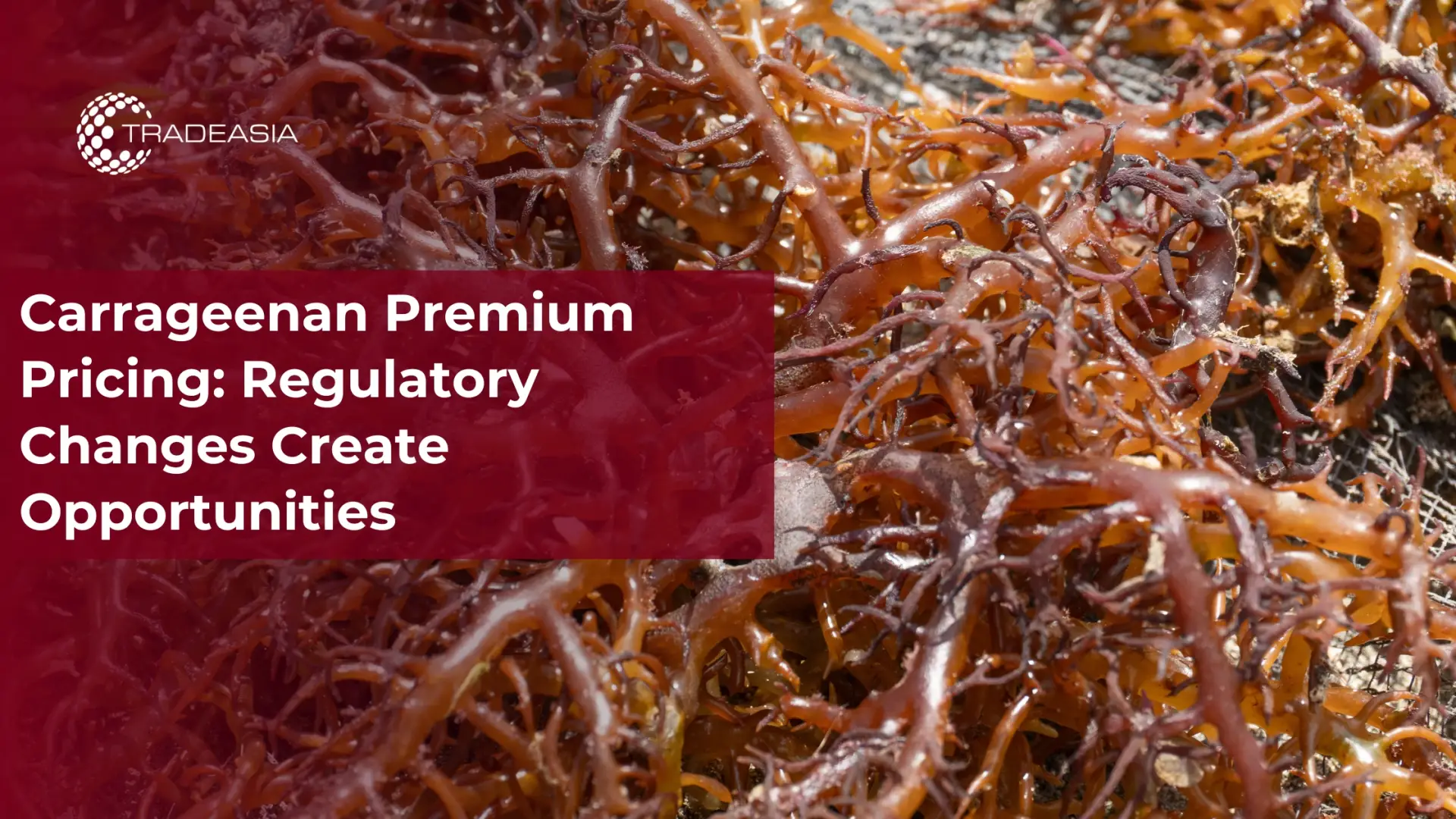 Carrageenan Premium Pricing: Regulatory Changes Create Opportunities