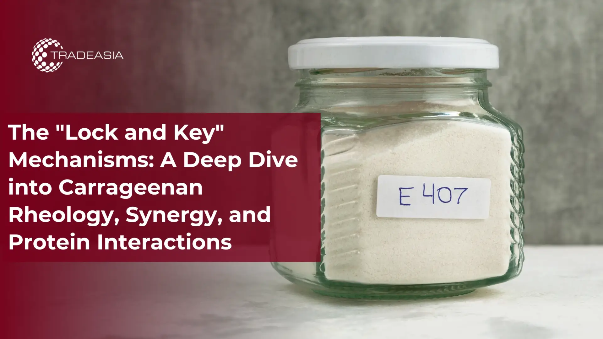The "Lock and Key" Mechanisms: A Deep Dive into Carrageenan Rheology, Synergy, and Protein Interactions